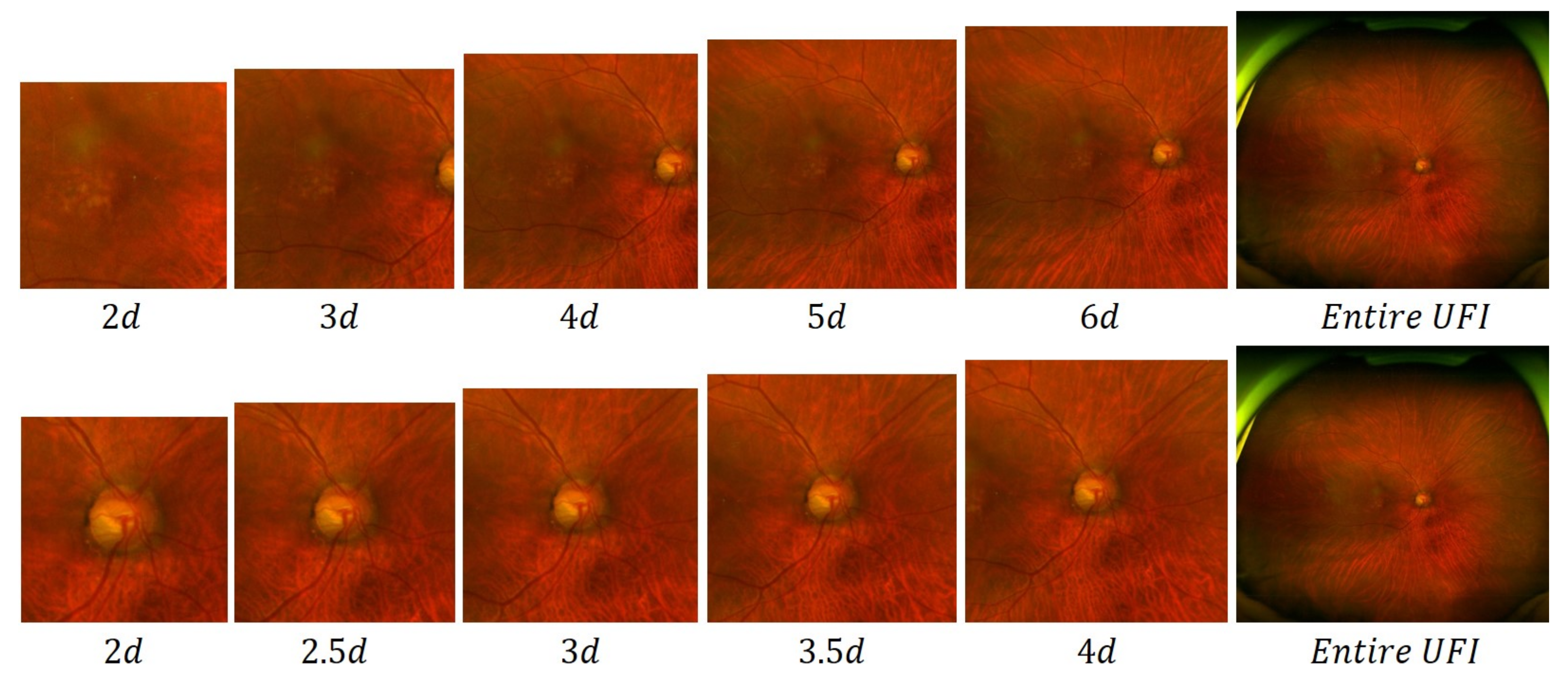 Bioengineering 10 01048 g009