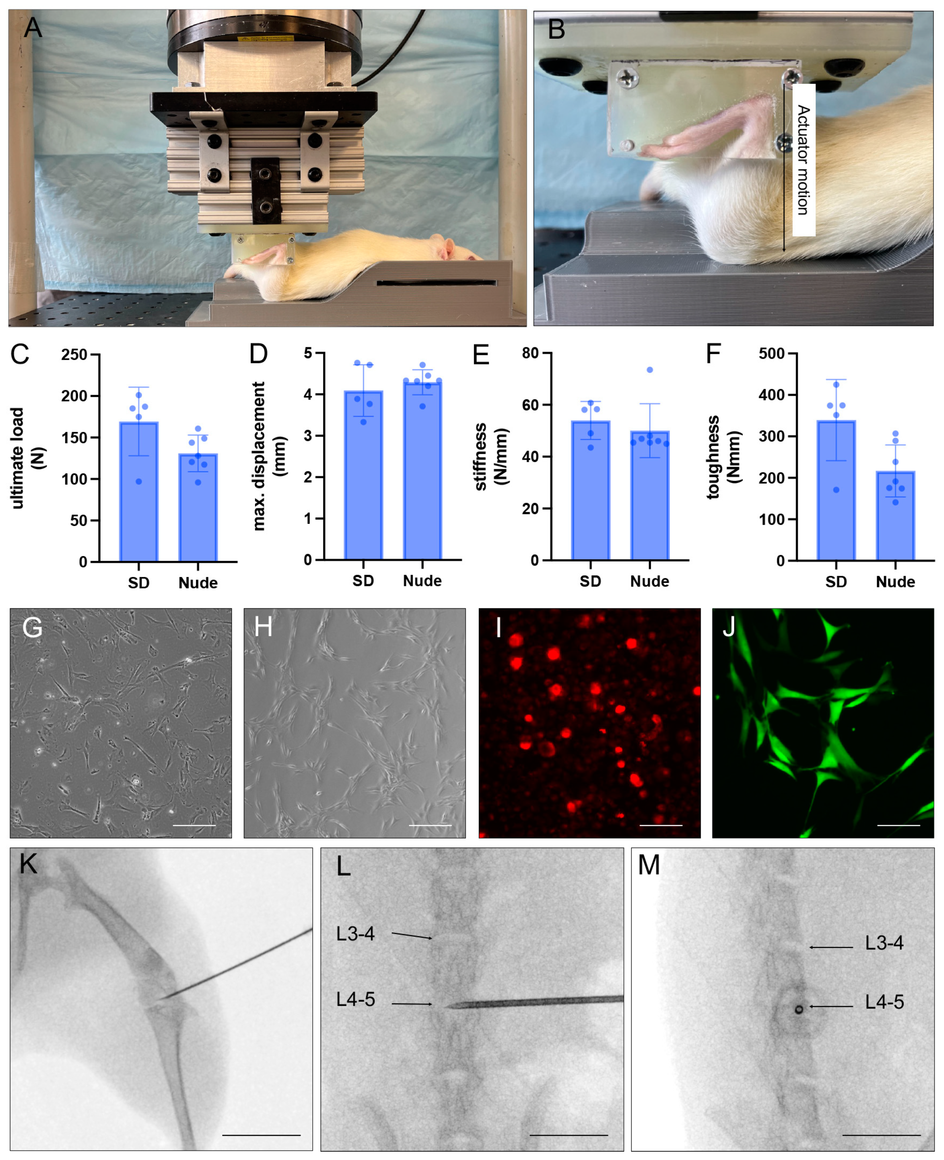 Bioengineering 10 01049 g002