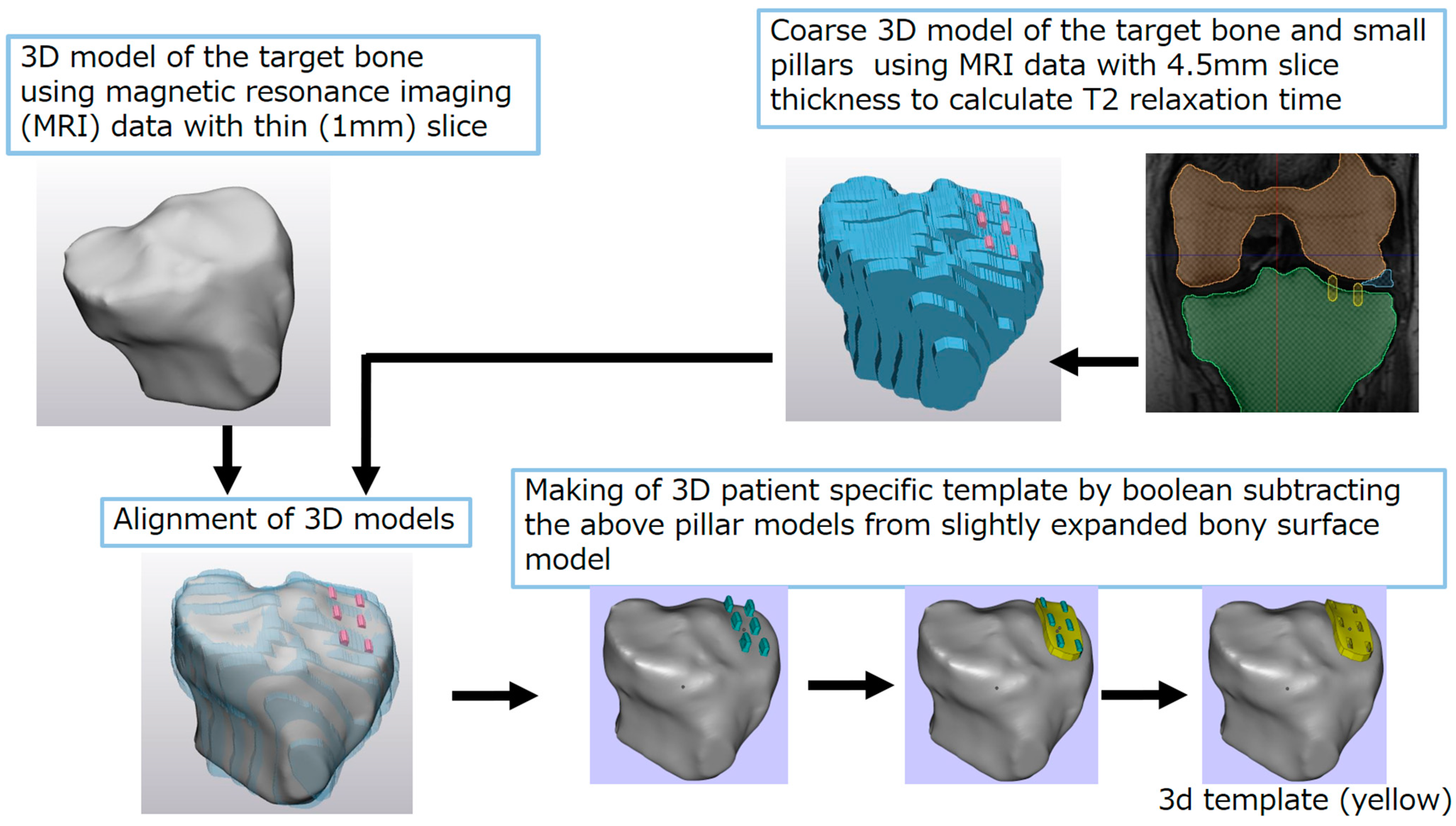 Bioengineering 10 01050 g001 Bioengineering 10 01050 g001