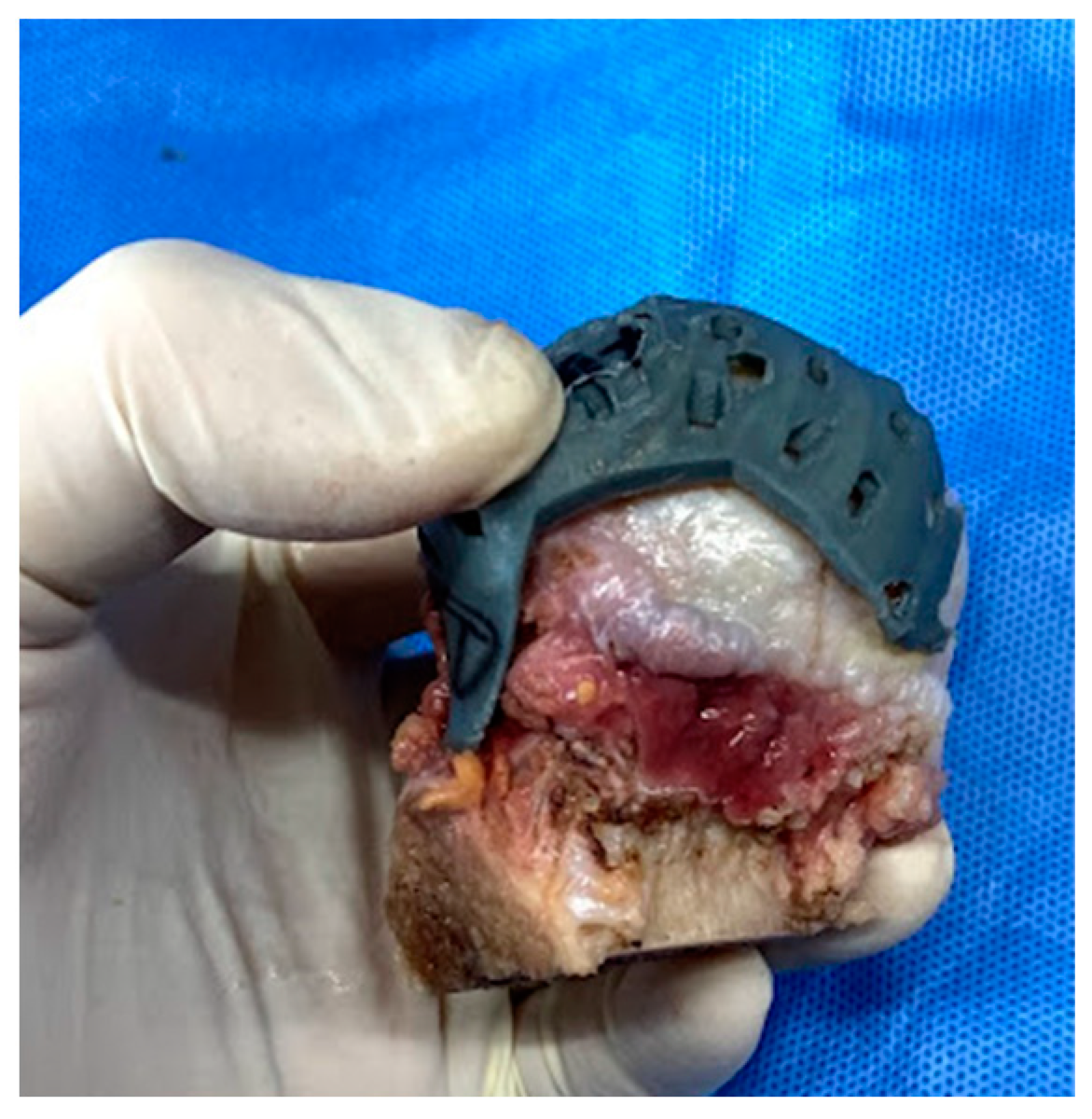 Bioengineering 10 01050 g003 Bioengineering 10 01050 g003