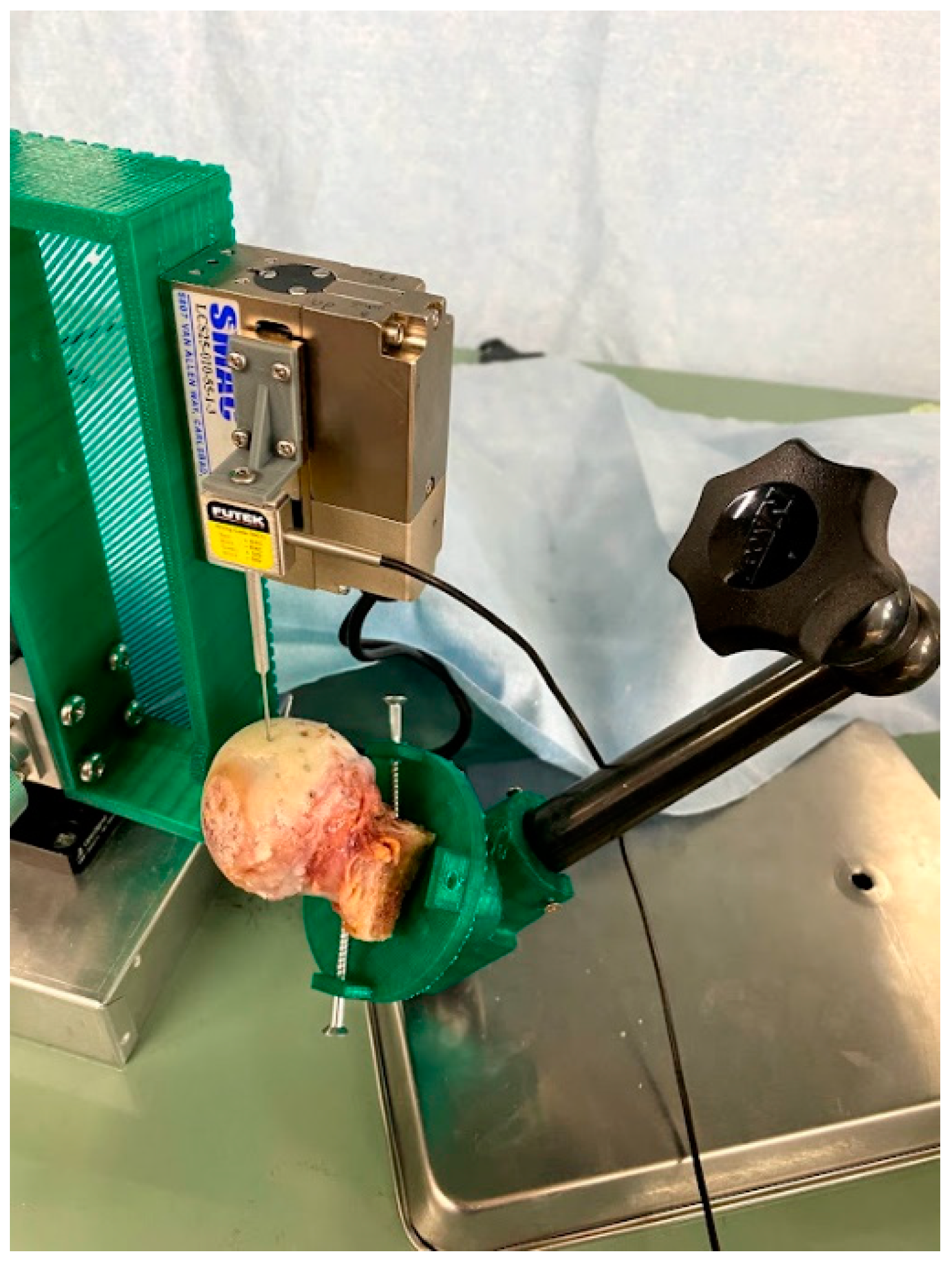 Bioengineering 10 01050 g005 Bioengineering 10 01050 g005