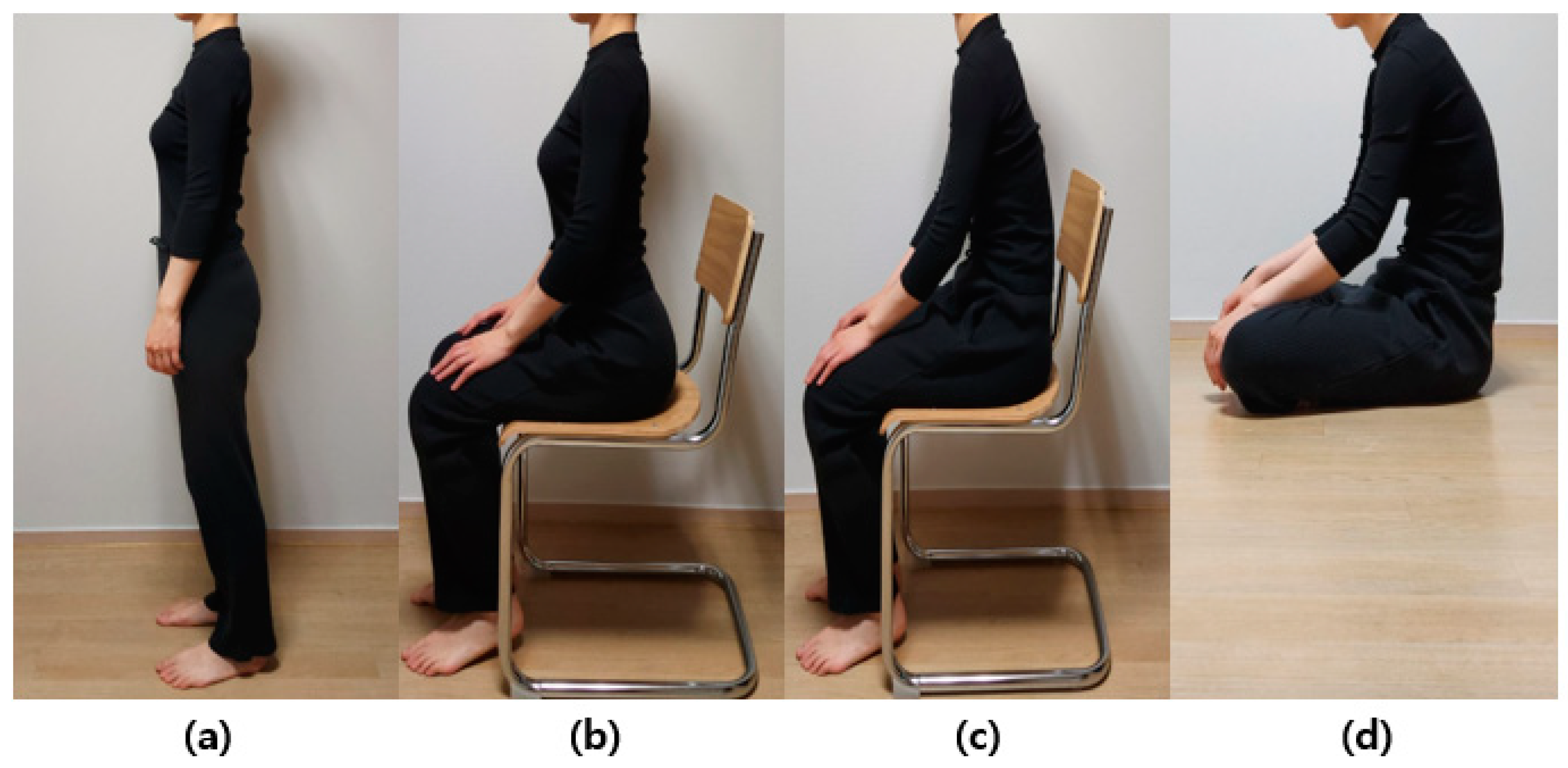 The anatomical boundaries representing the low back.