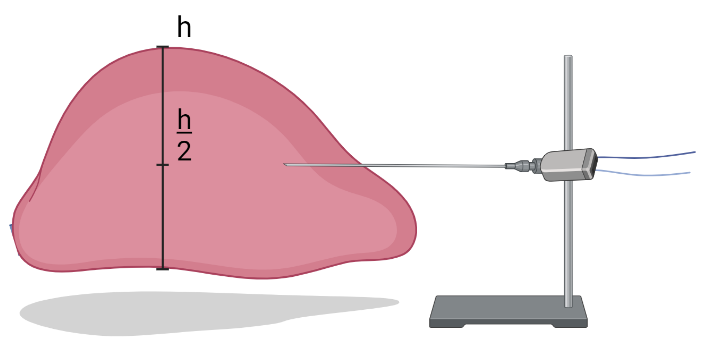 Bioengineering 10 01057 g001