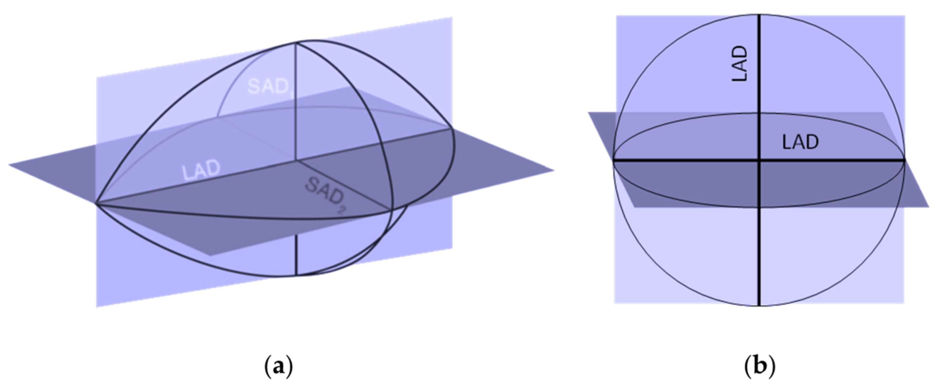 Bioengineering 10 01057 g004