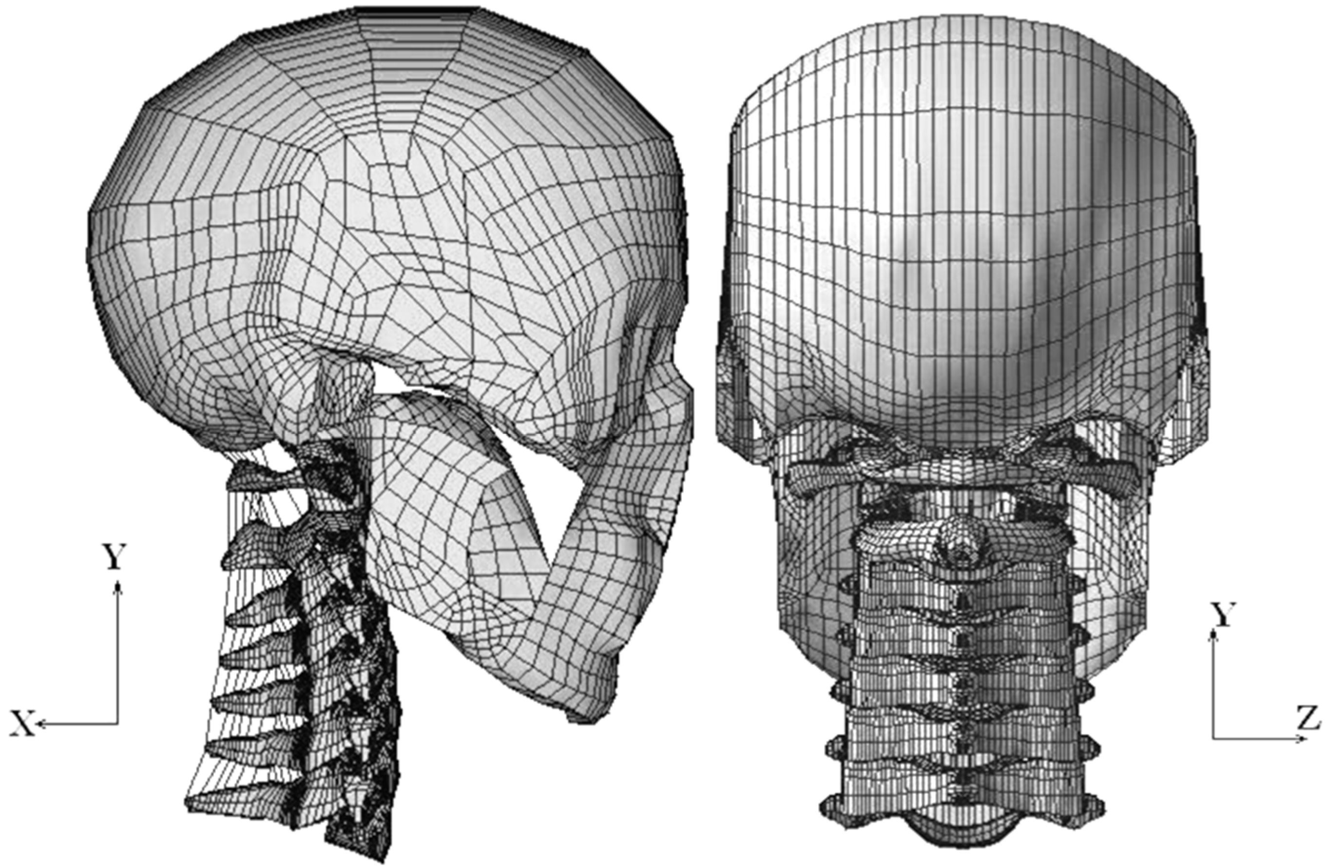 Bioengineering 10 01059 g001