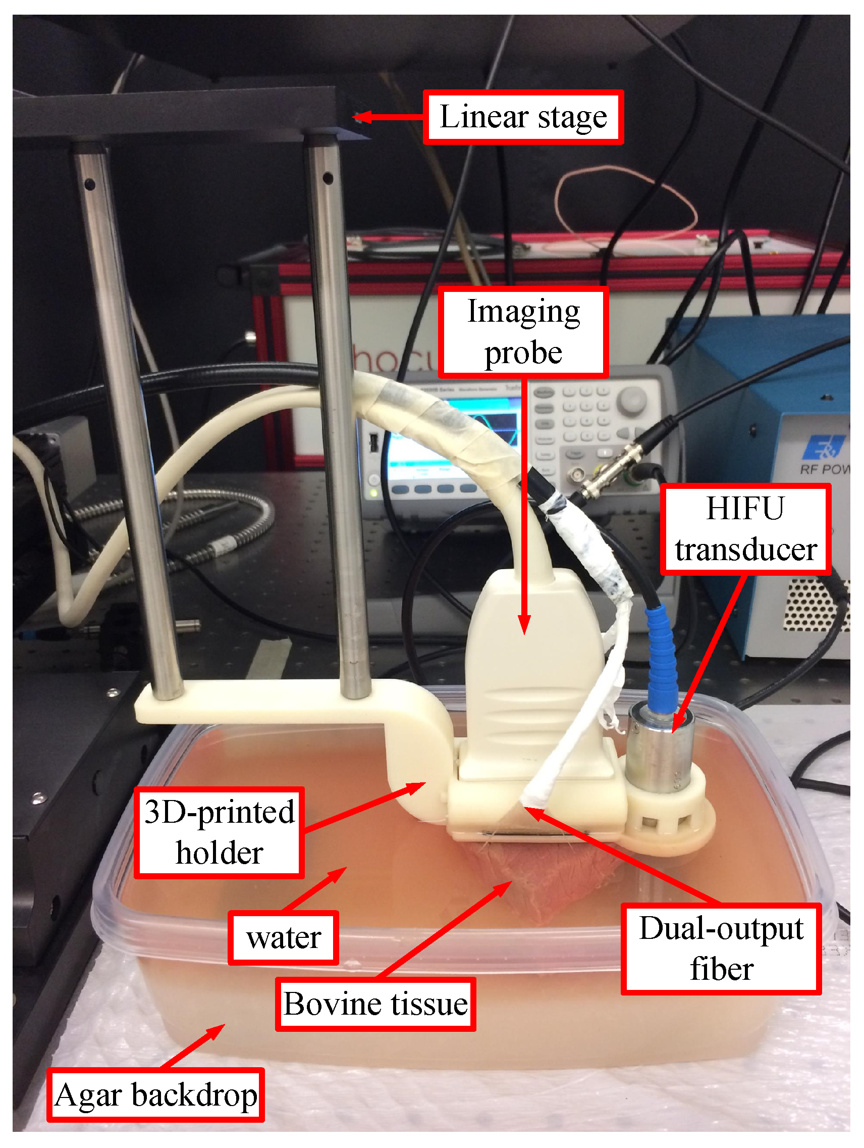 Bioengineering 10 01060 g002