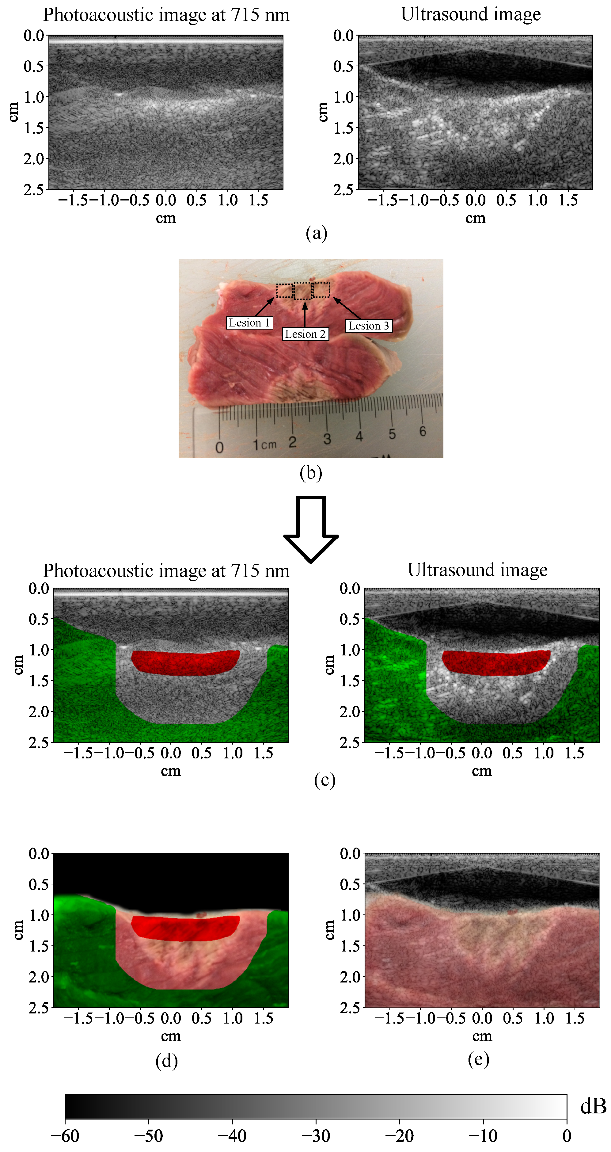 Bioengineering 10 01060 g003
