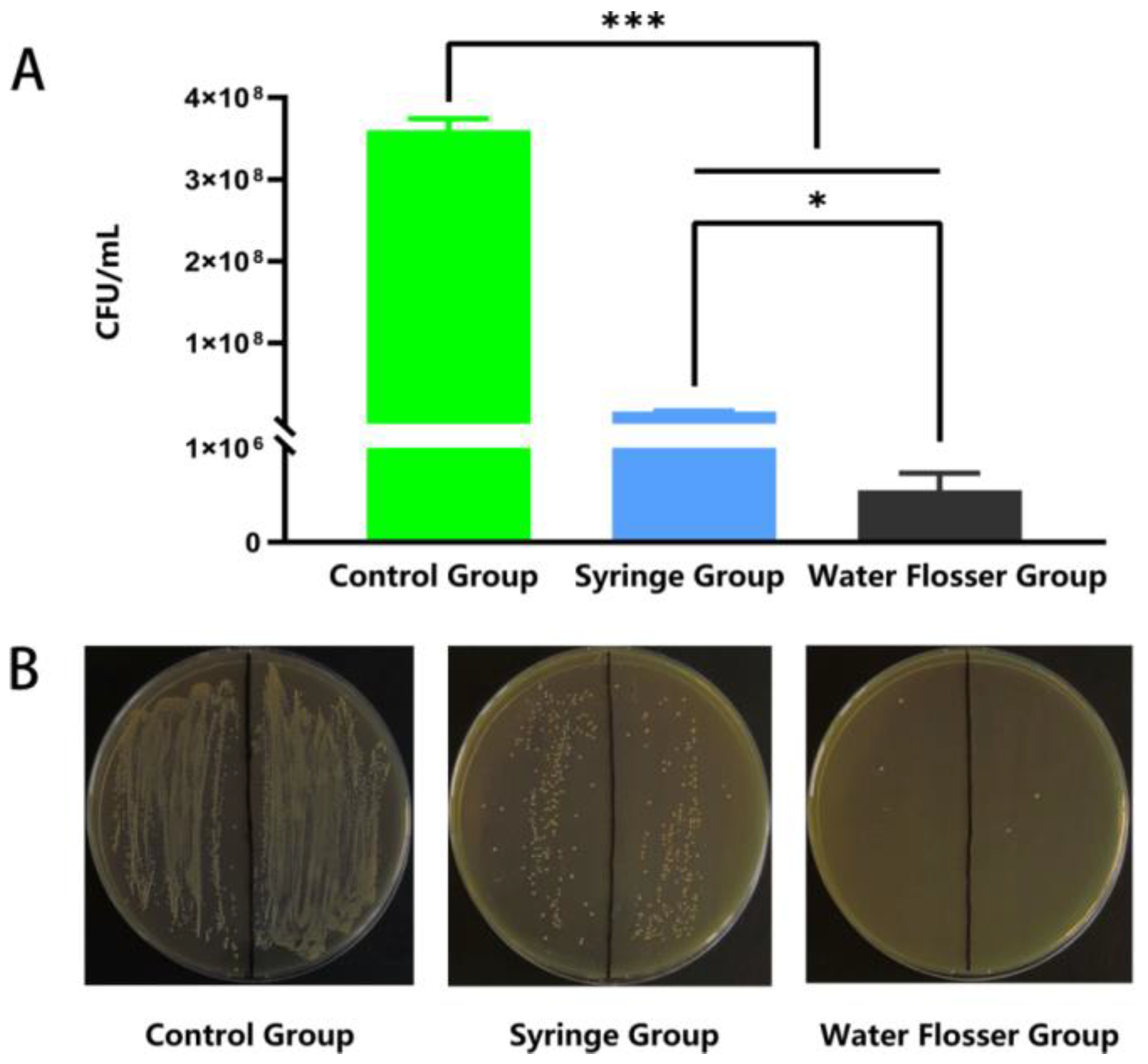 Bioengineering 10 01061 g005 Bioengineering 10 01061 g005