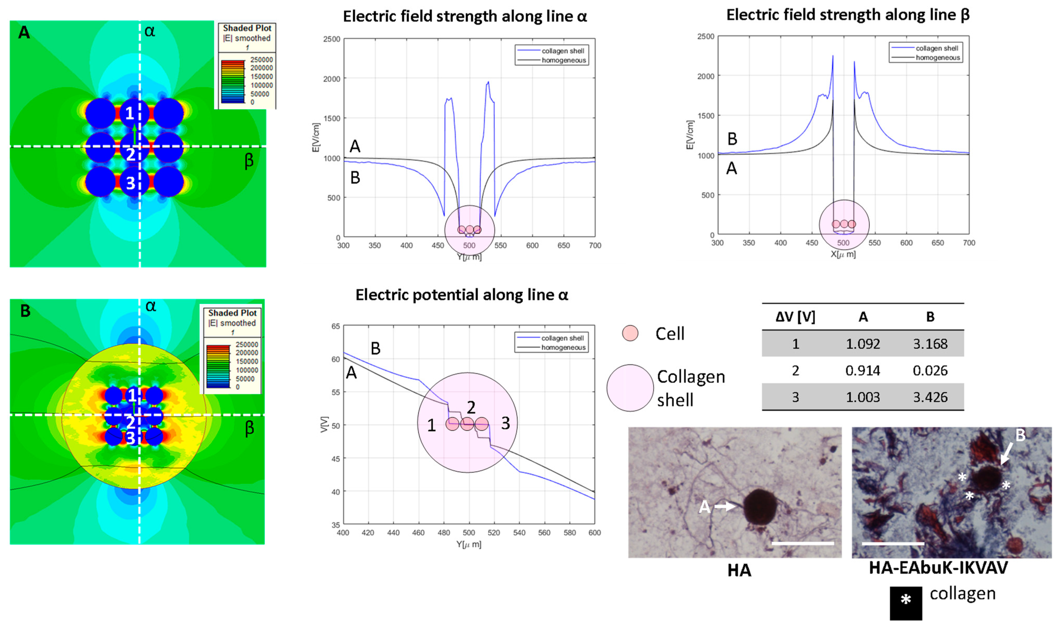 Bioengineering 10 01062 g007