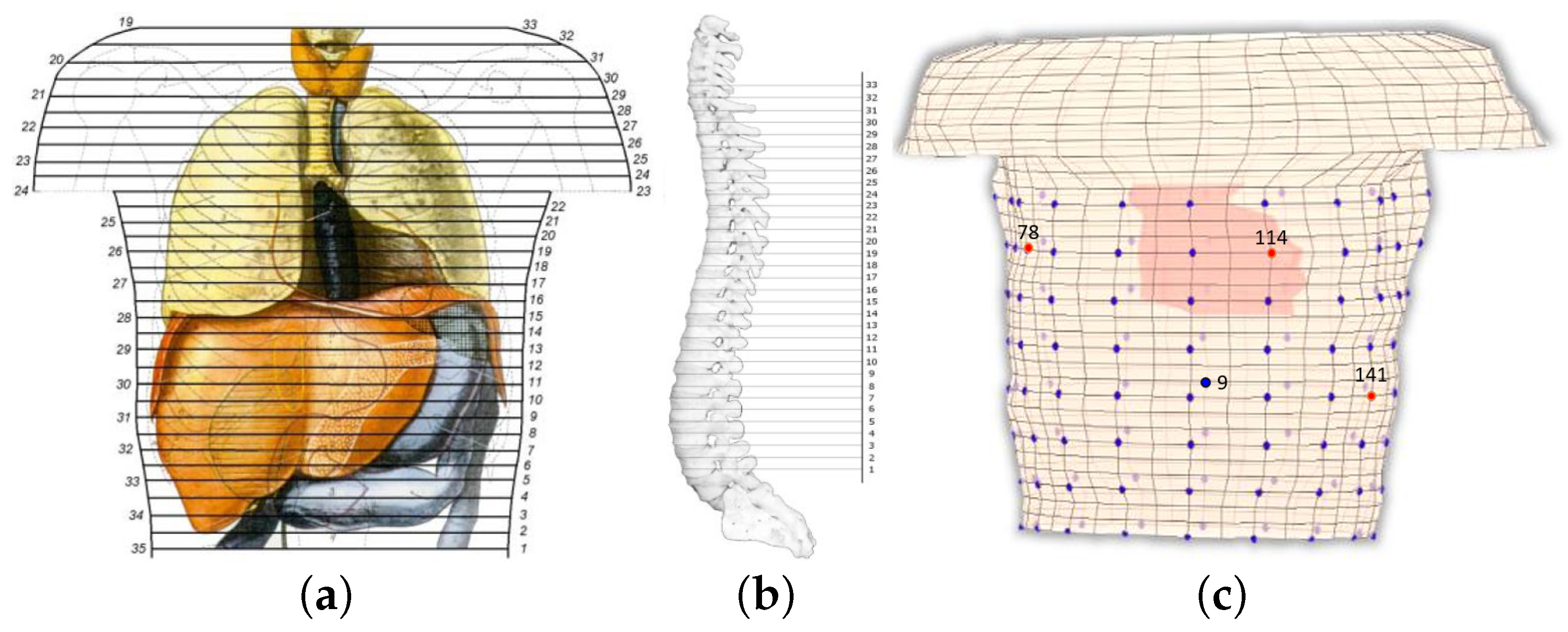 Bioengineering 10 01063 g001