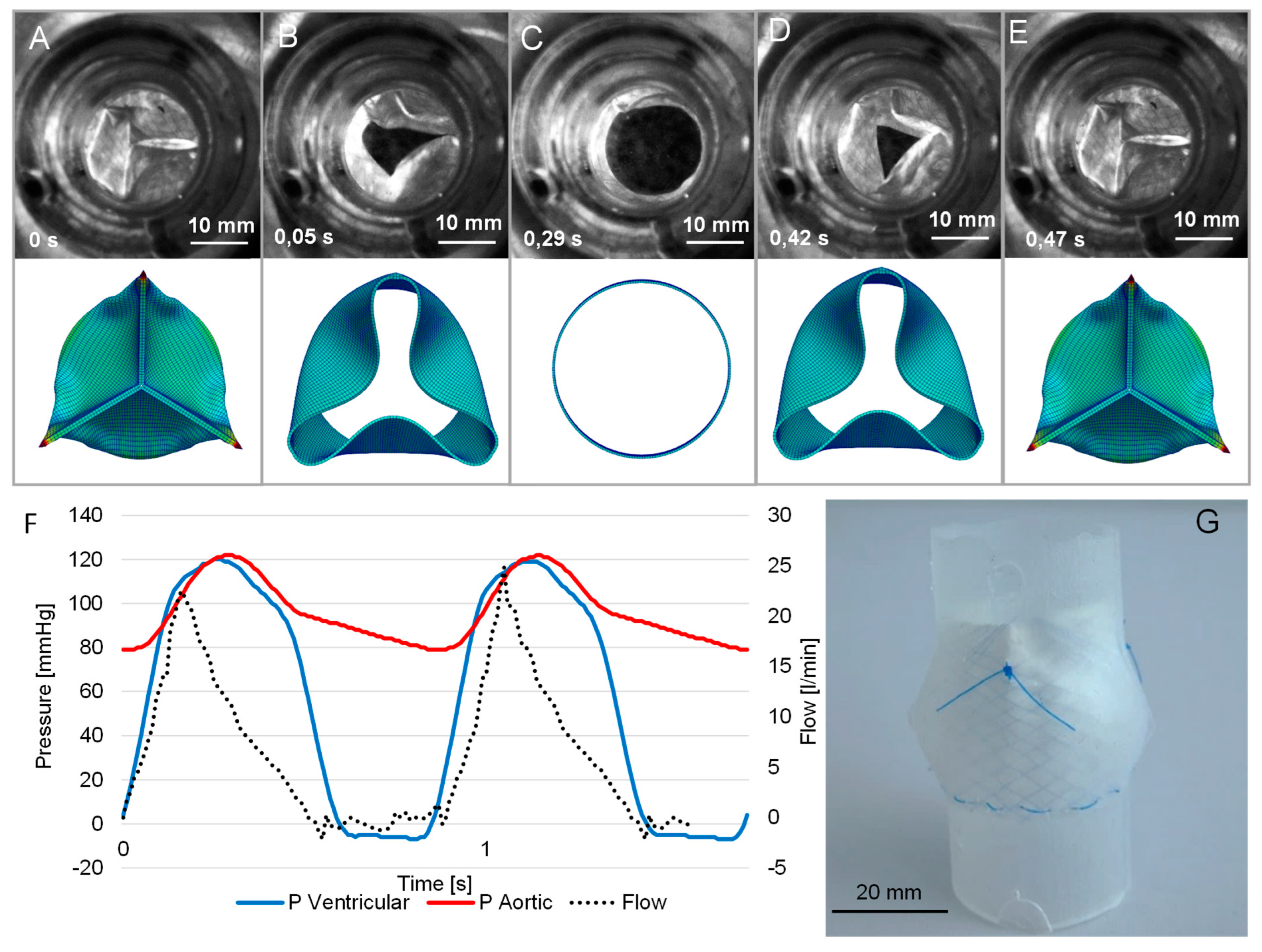 Bioengineering 10 01064 g005