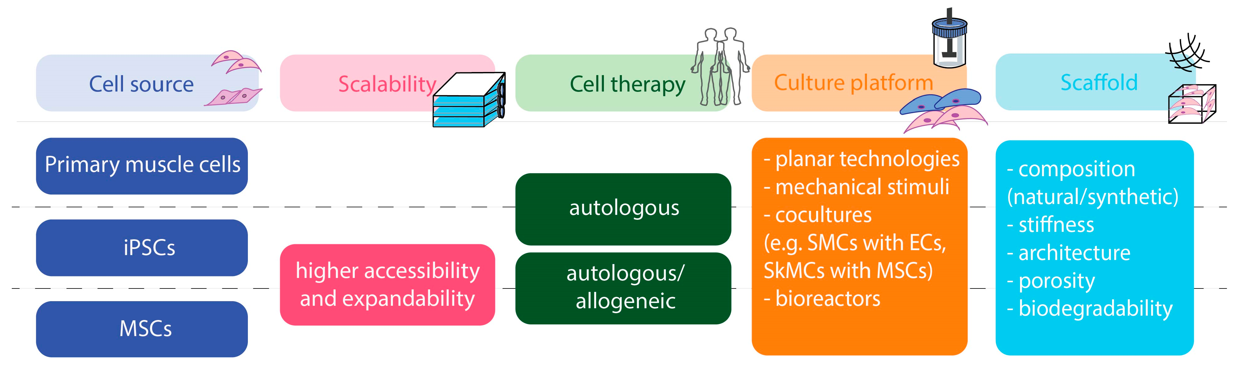 Bioengineering 10 01067 g002