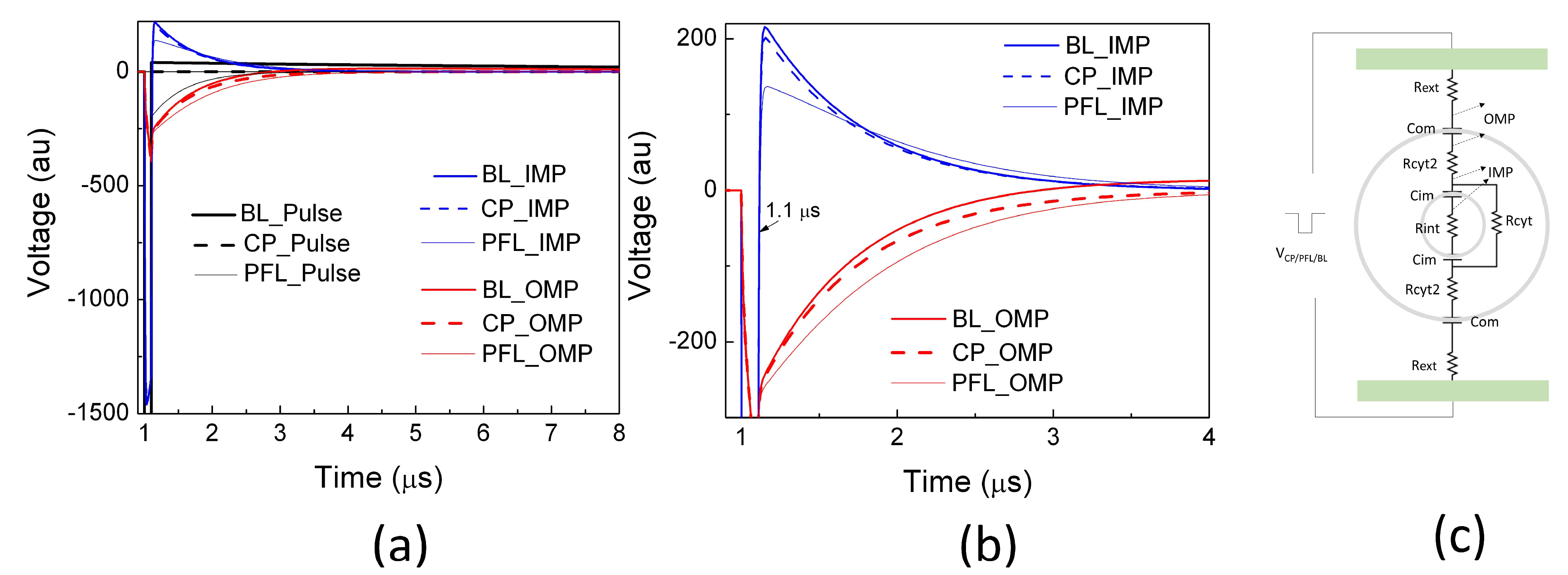 Bioengineering 10 01069 g004