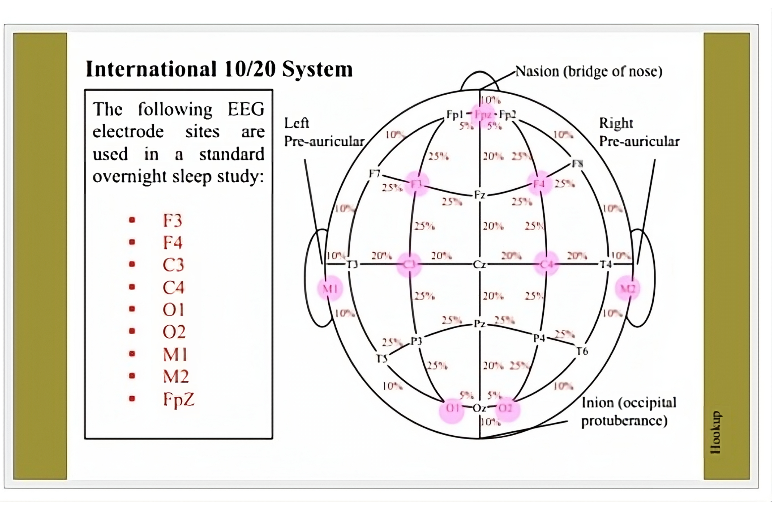 Bioengineering 10 01074 g001