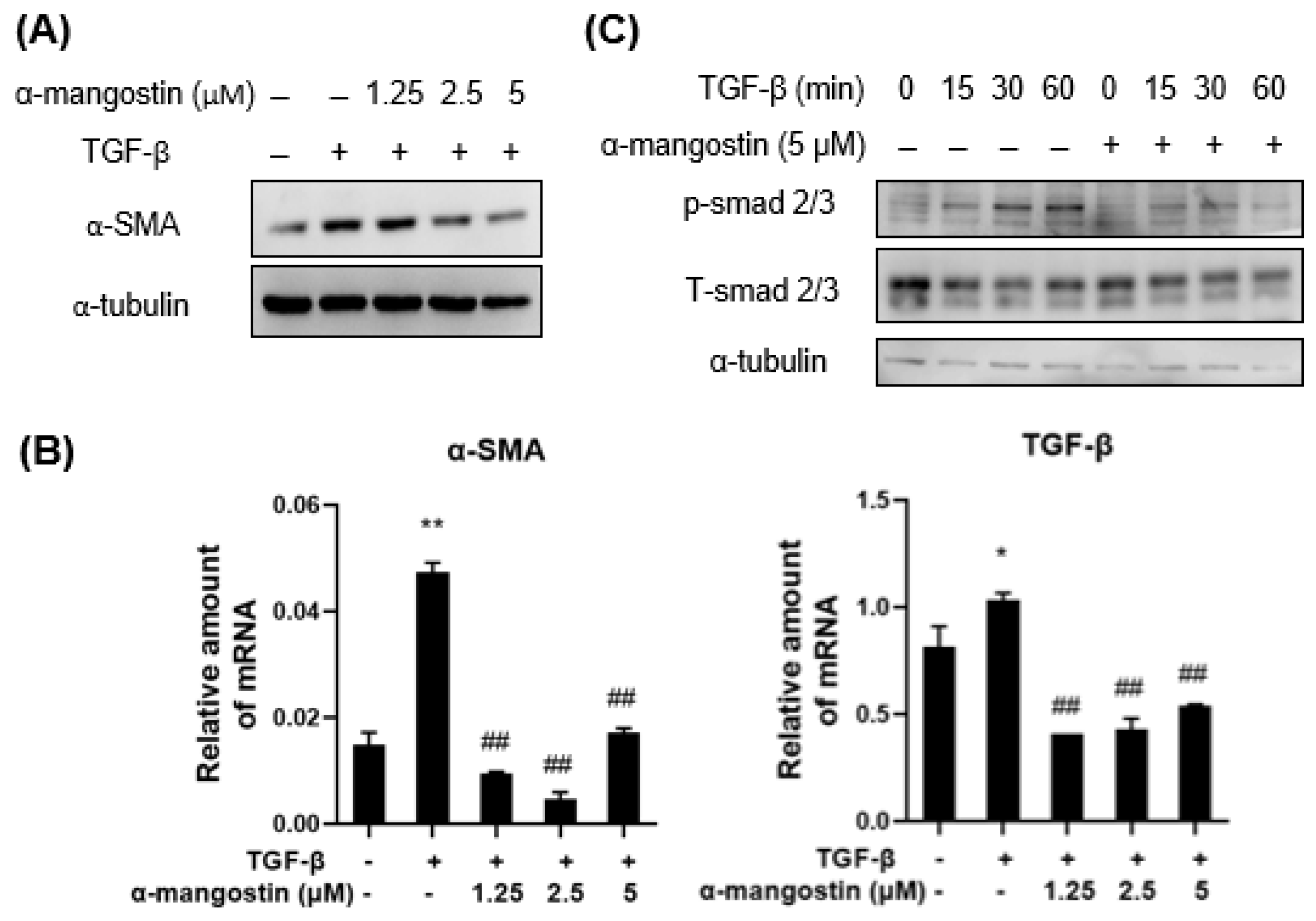 Isolation and Biological Evaluation of Alfa-Mangostin as