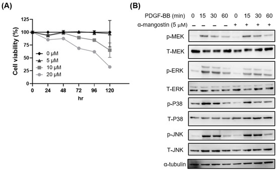 Isolation and Biological Evaluation of Alfa-Mangostin as