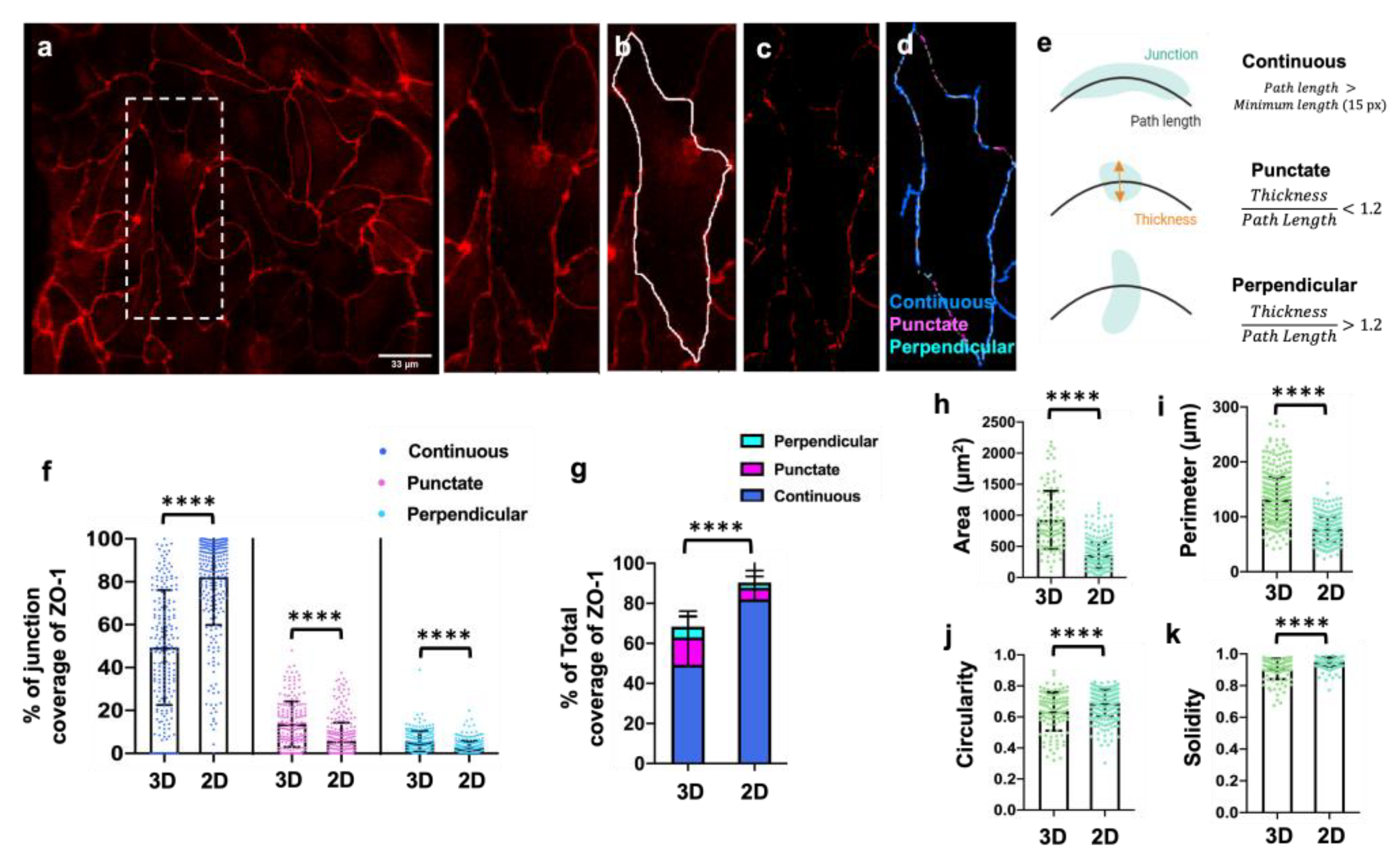 Bioengineering 10 01080 g004