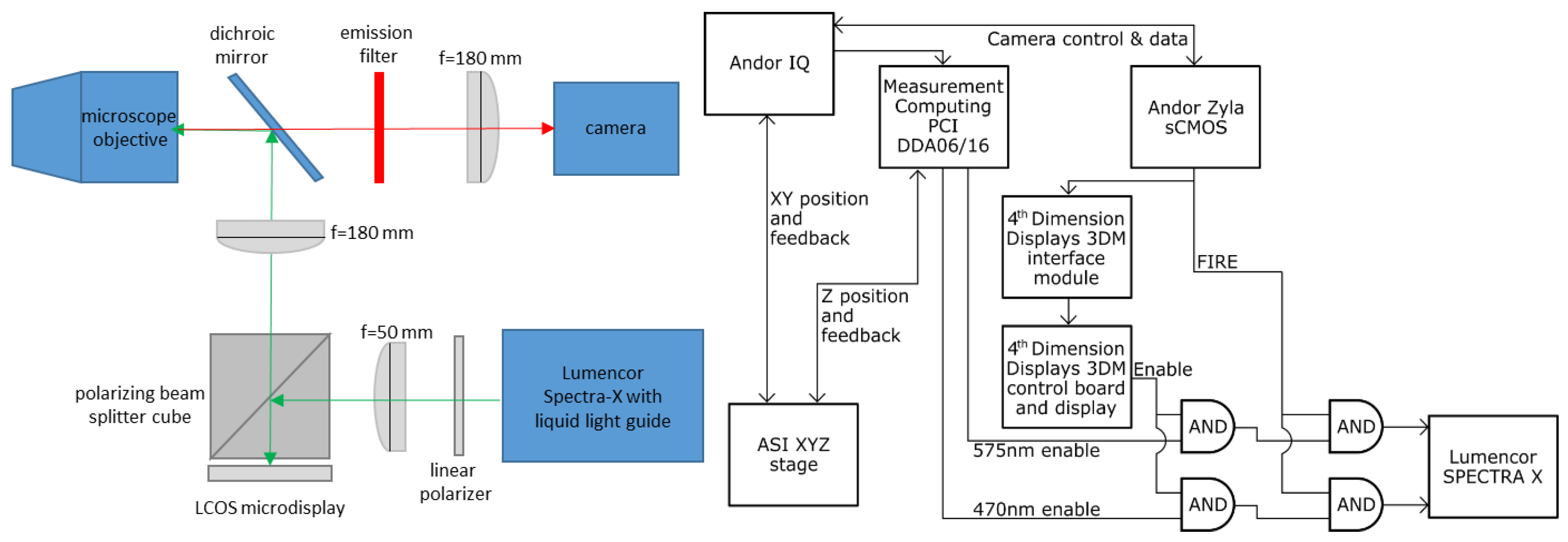 Bioengineering 10 01081 g001
