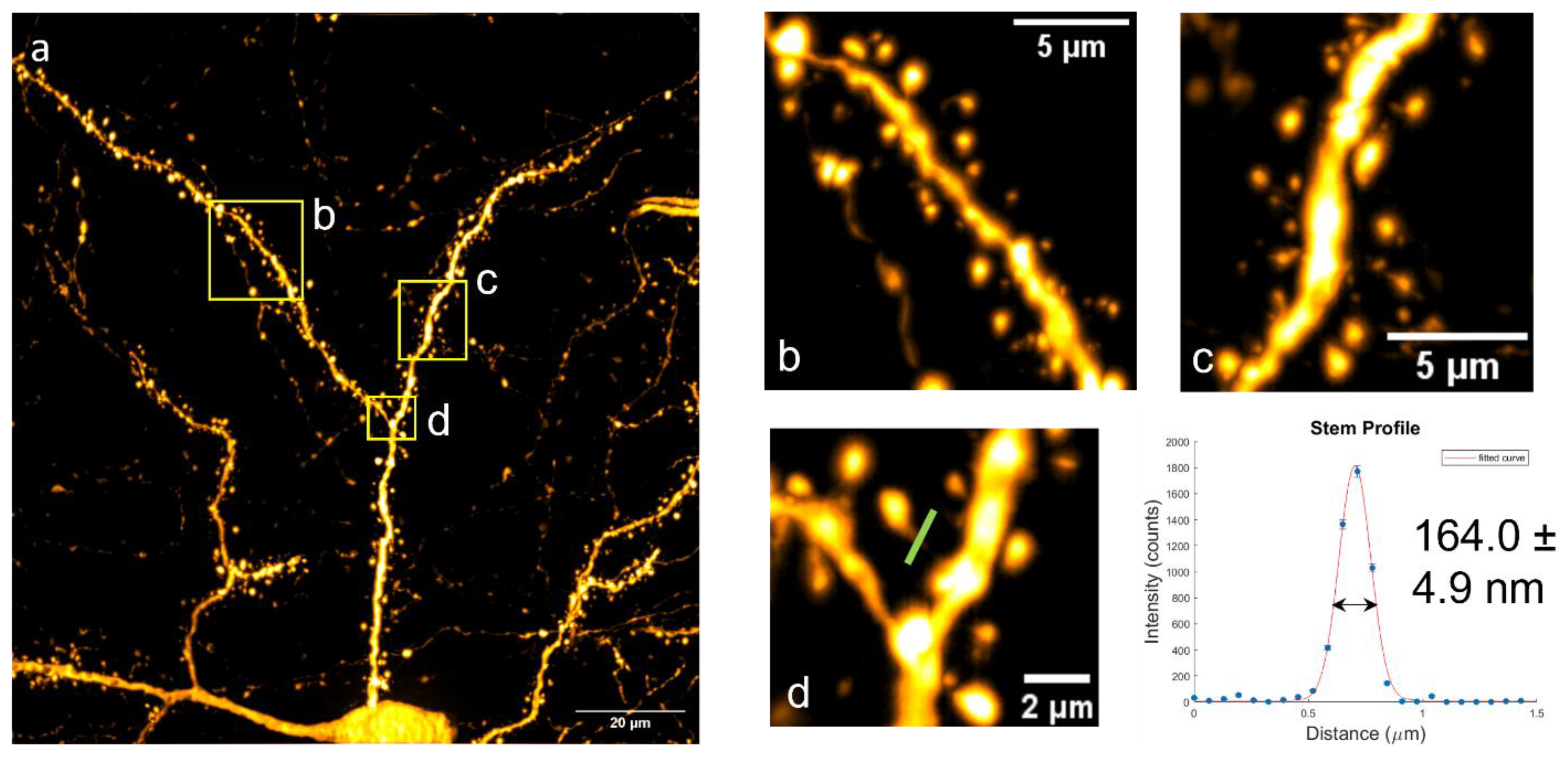 Bioengineering 10 01081 g003