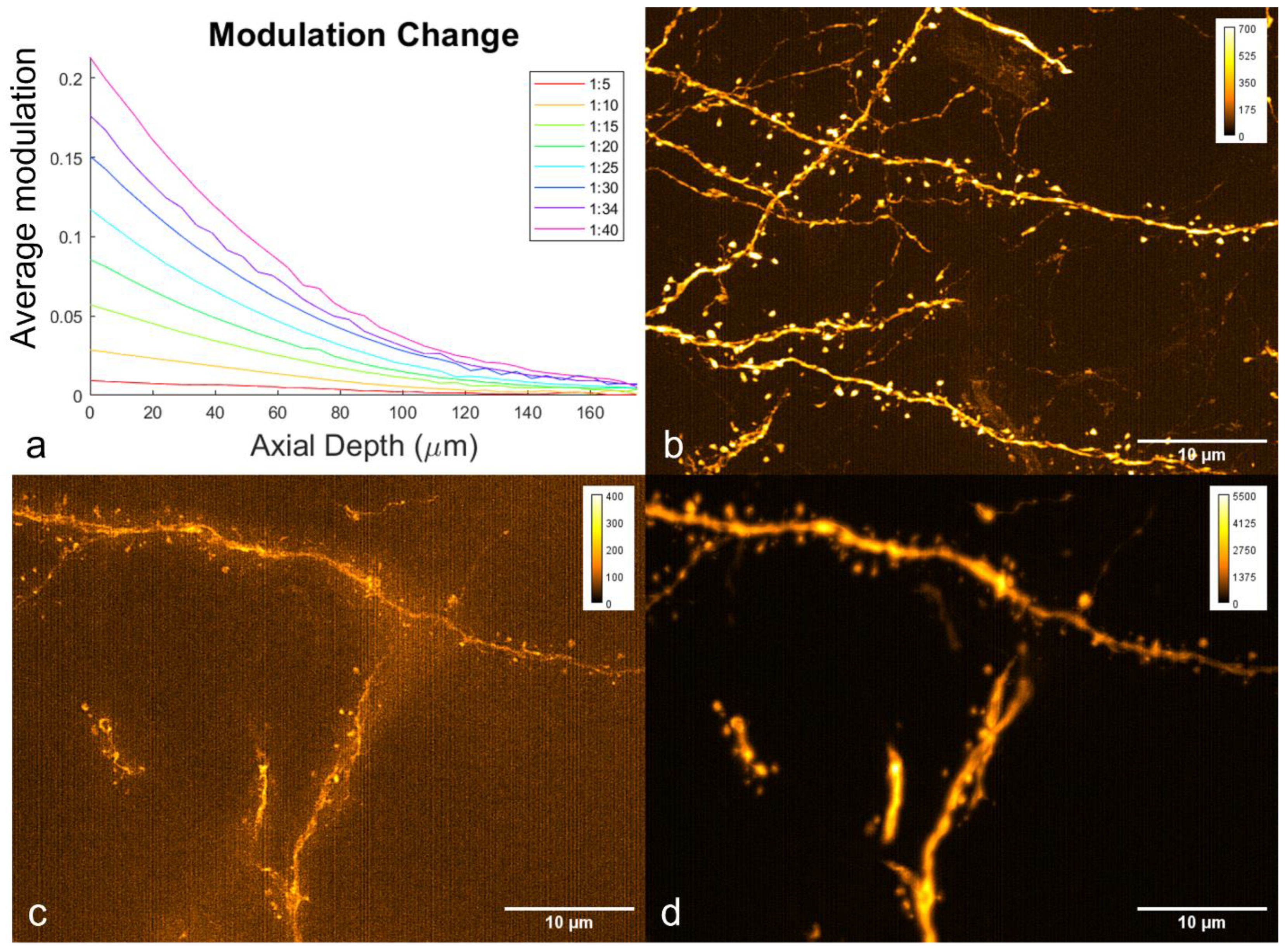 Bioengineering 10 01081 g007