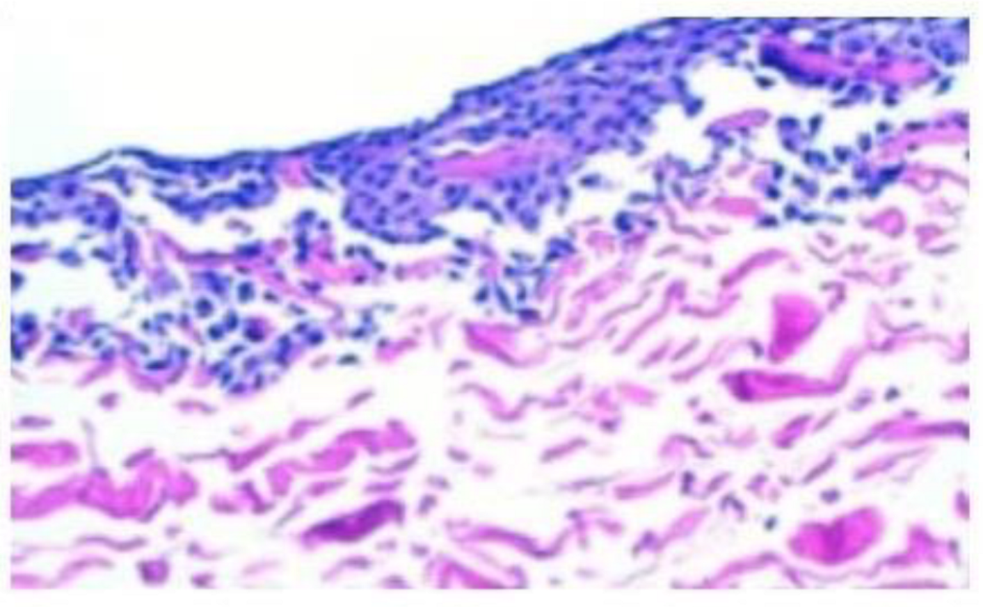 Bioengineering 10 01083 g002