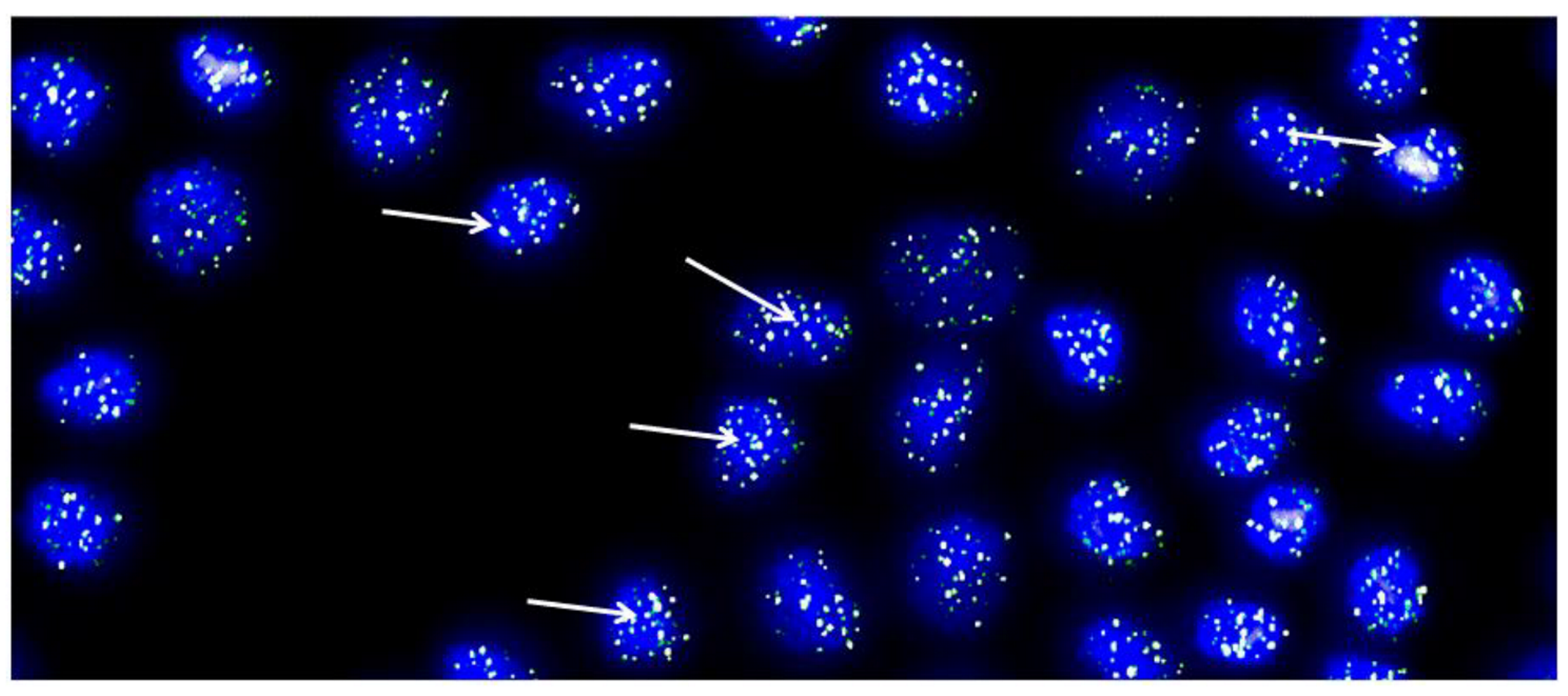 Bioengineering 10 01083 g004