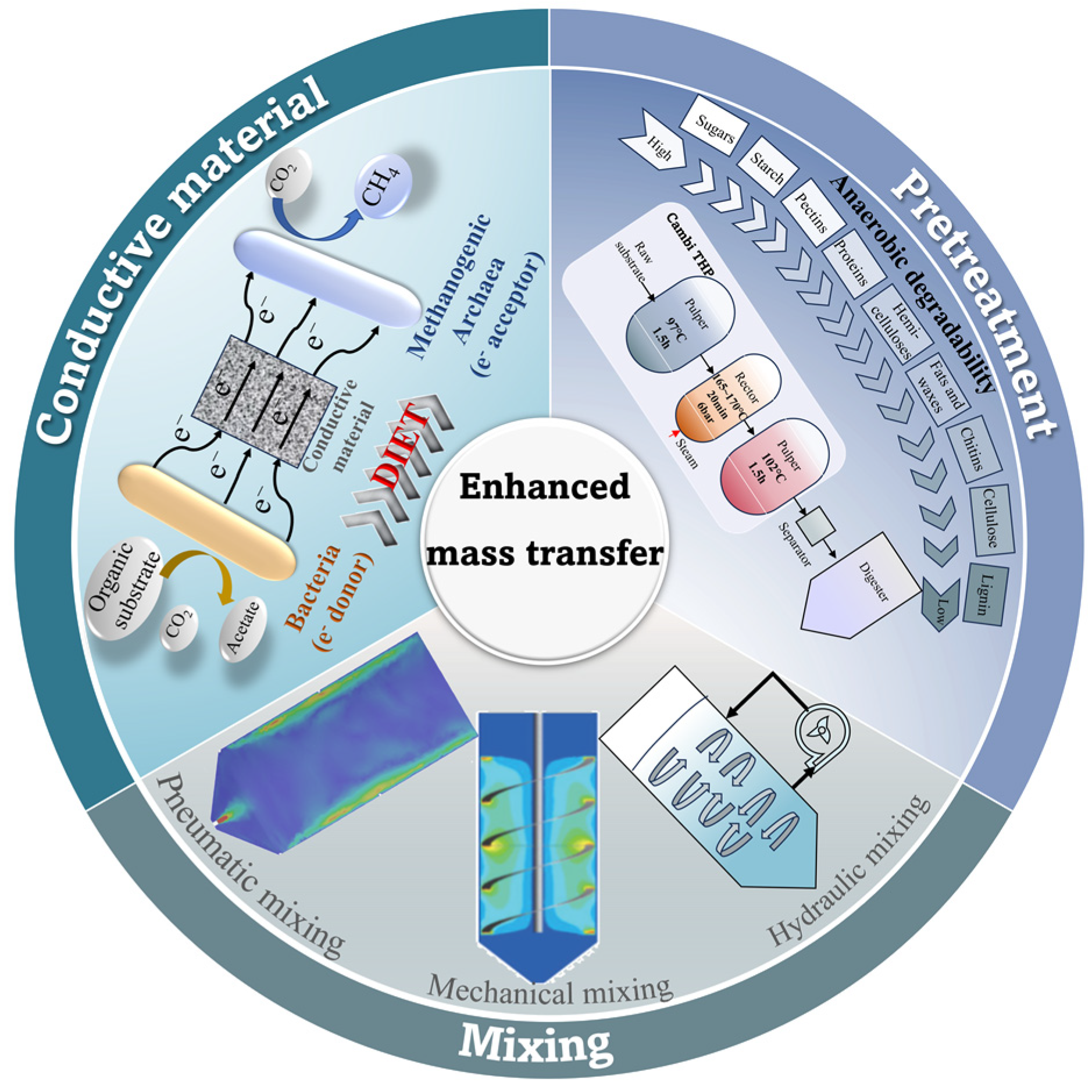 Bioengineering 10 01084 g003