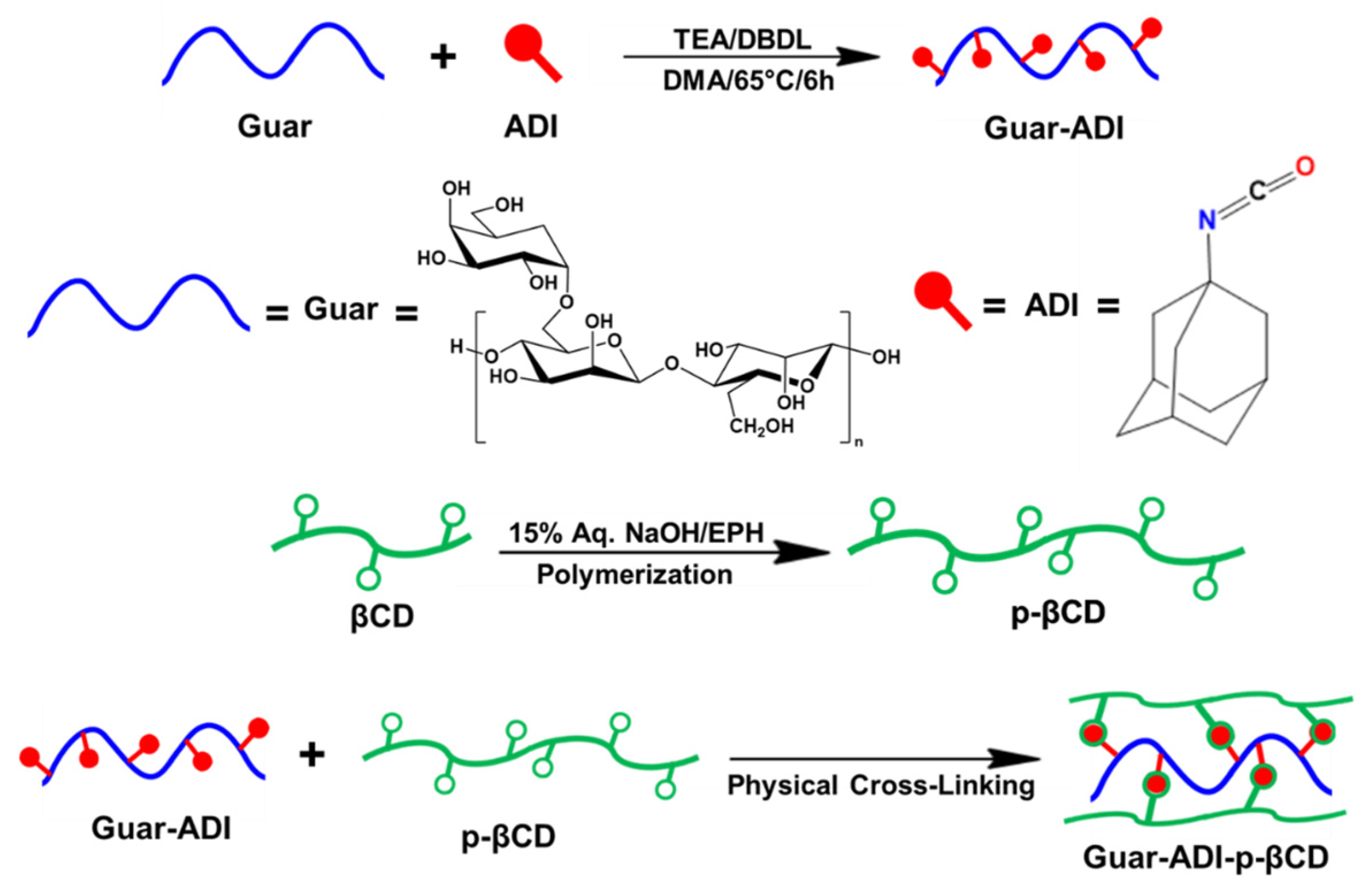 Bioengineering 10 01088 g001