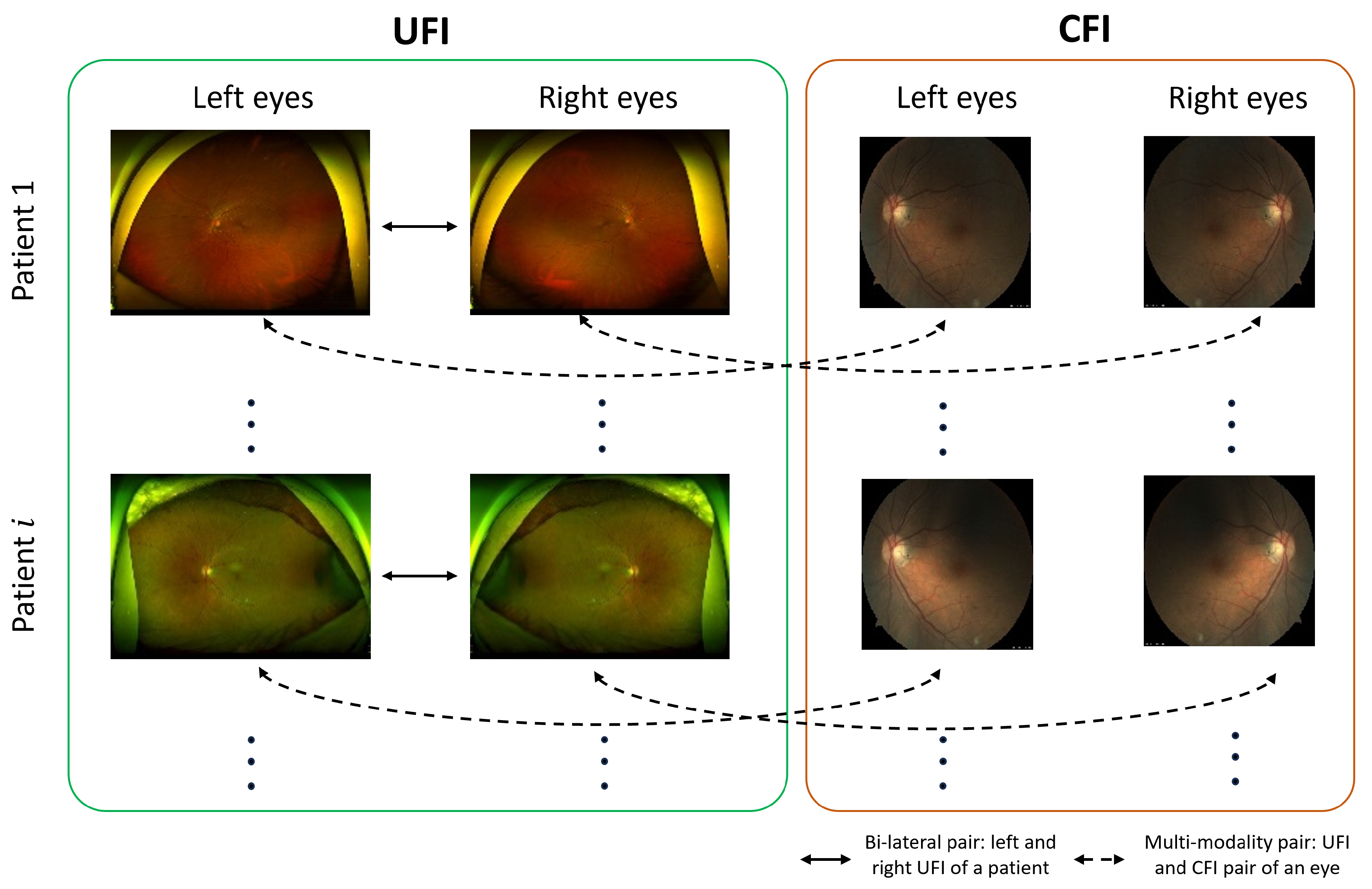 Bioengineering 10 01089 g001