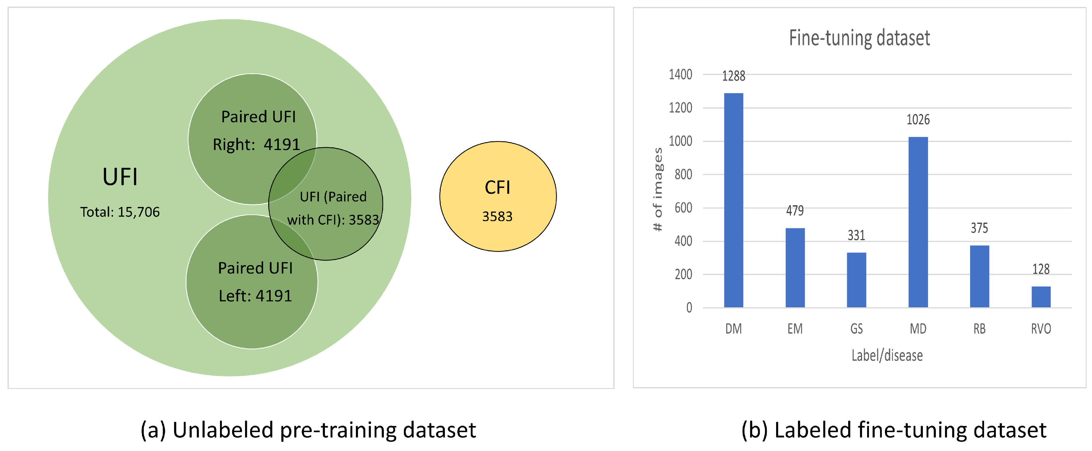 Bioengineering 10 01089 g002