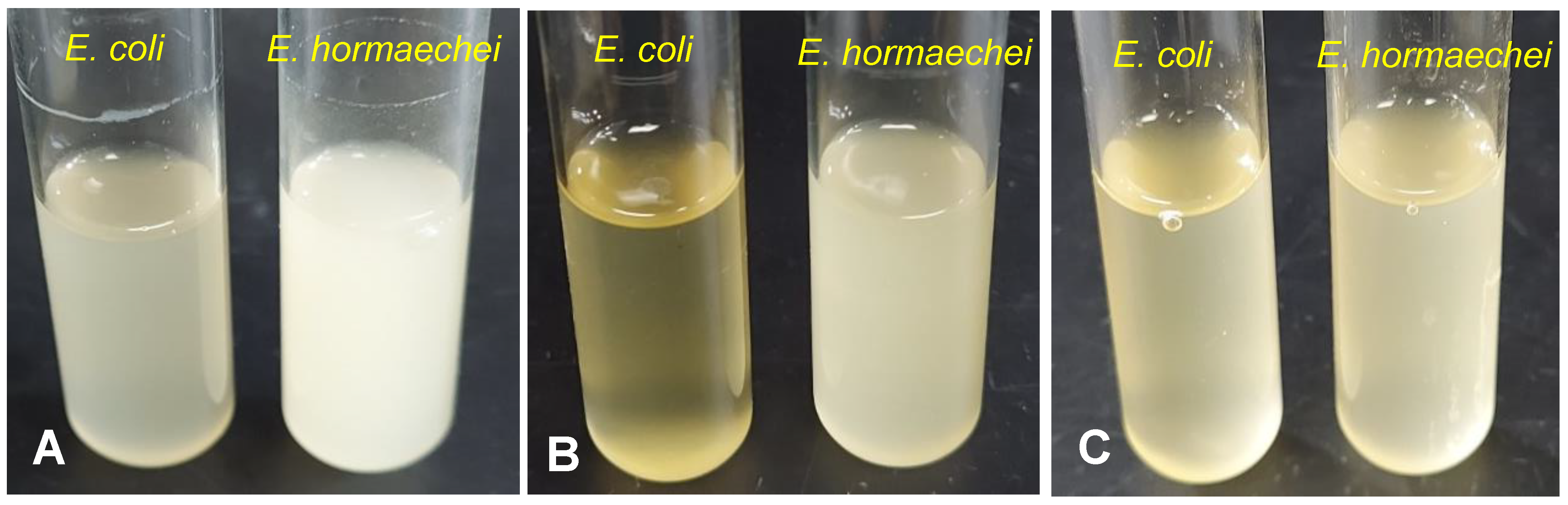 Bioengineering 10 01090 g001