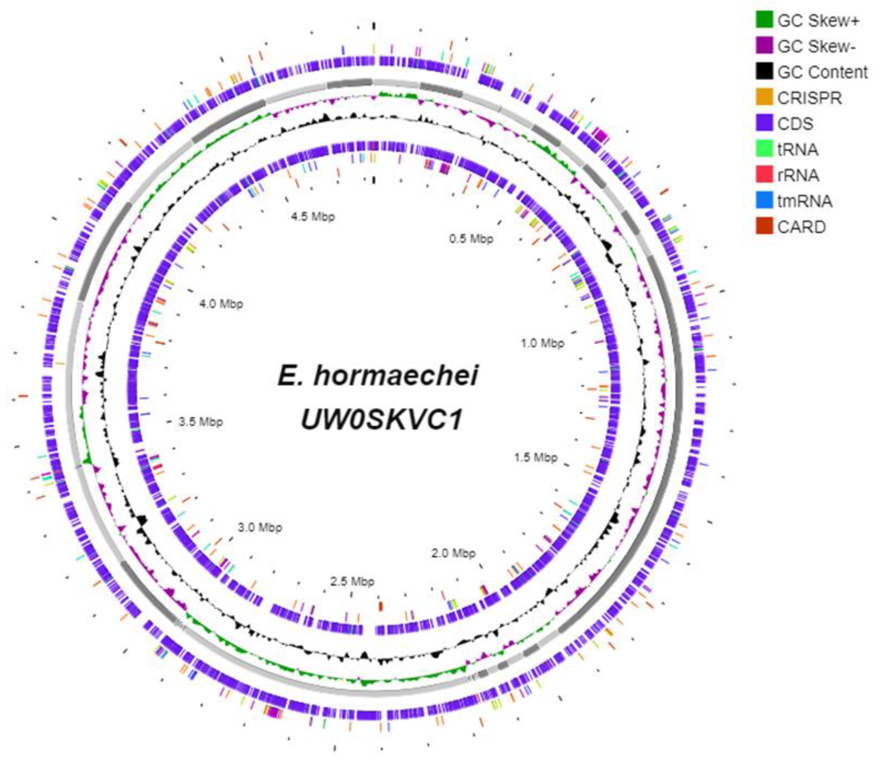 Bioengineering 10 01090 g006