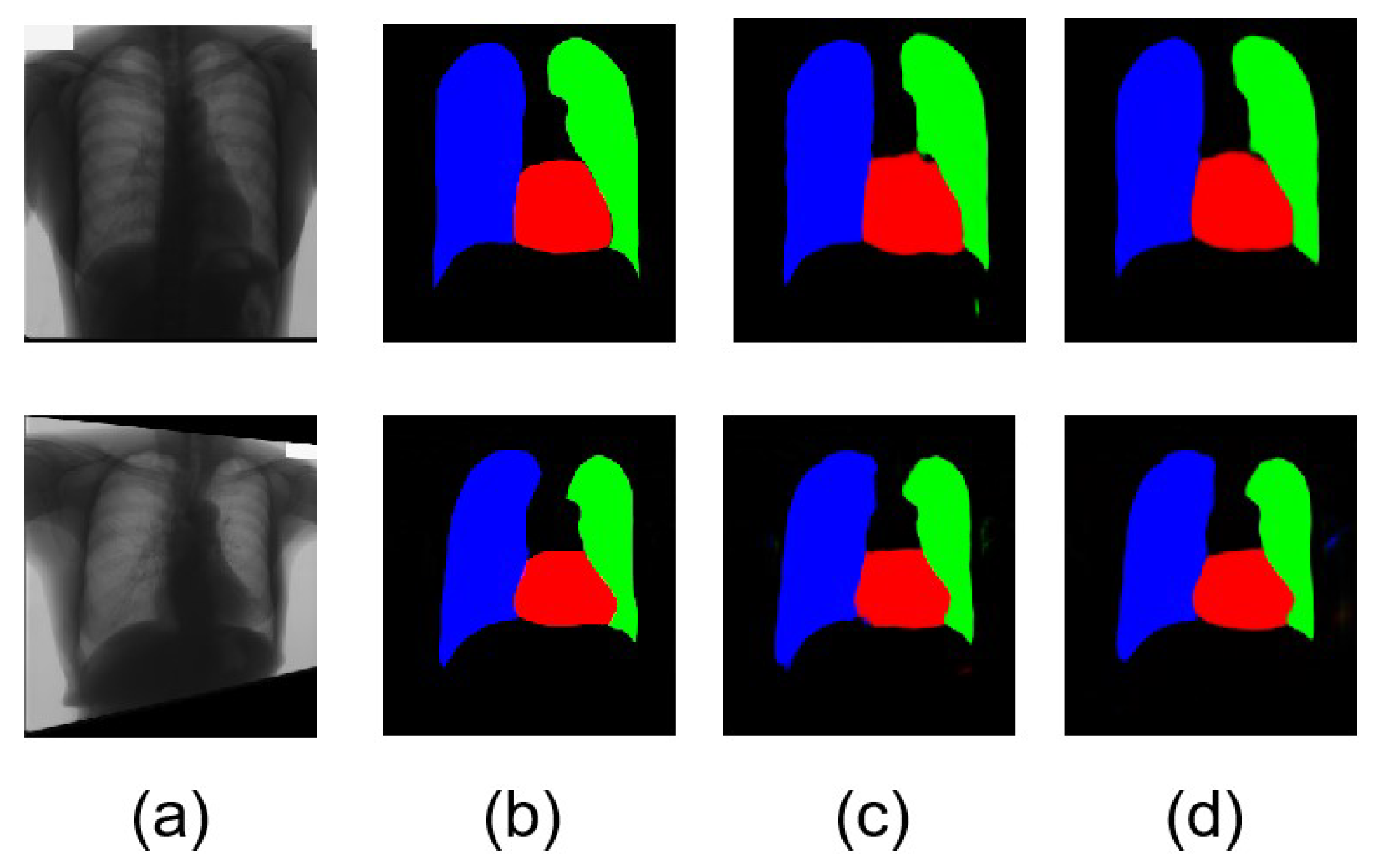 Bioengineering 10 01091 g005