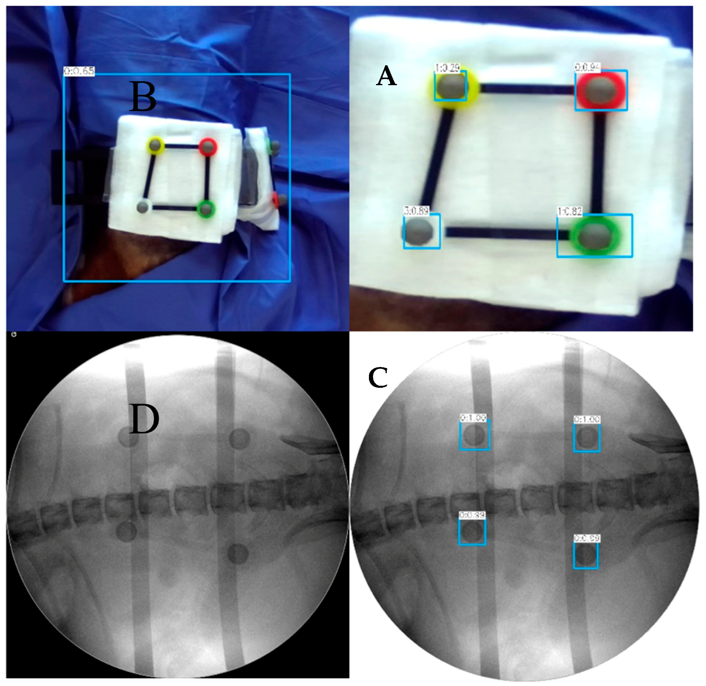 Bioengineering 10 01094 g003