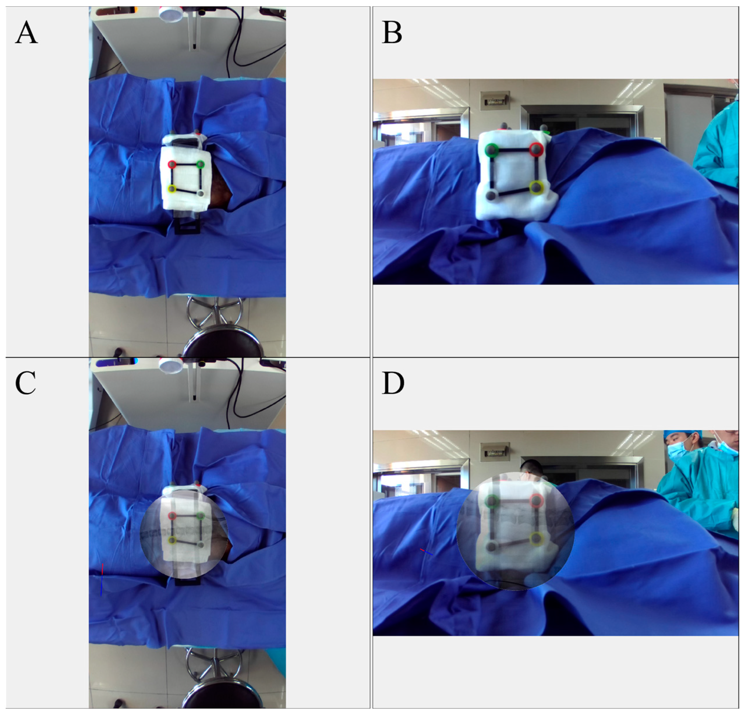 Bioengineering 10 01094 g004