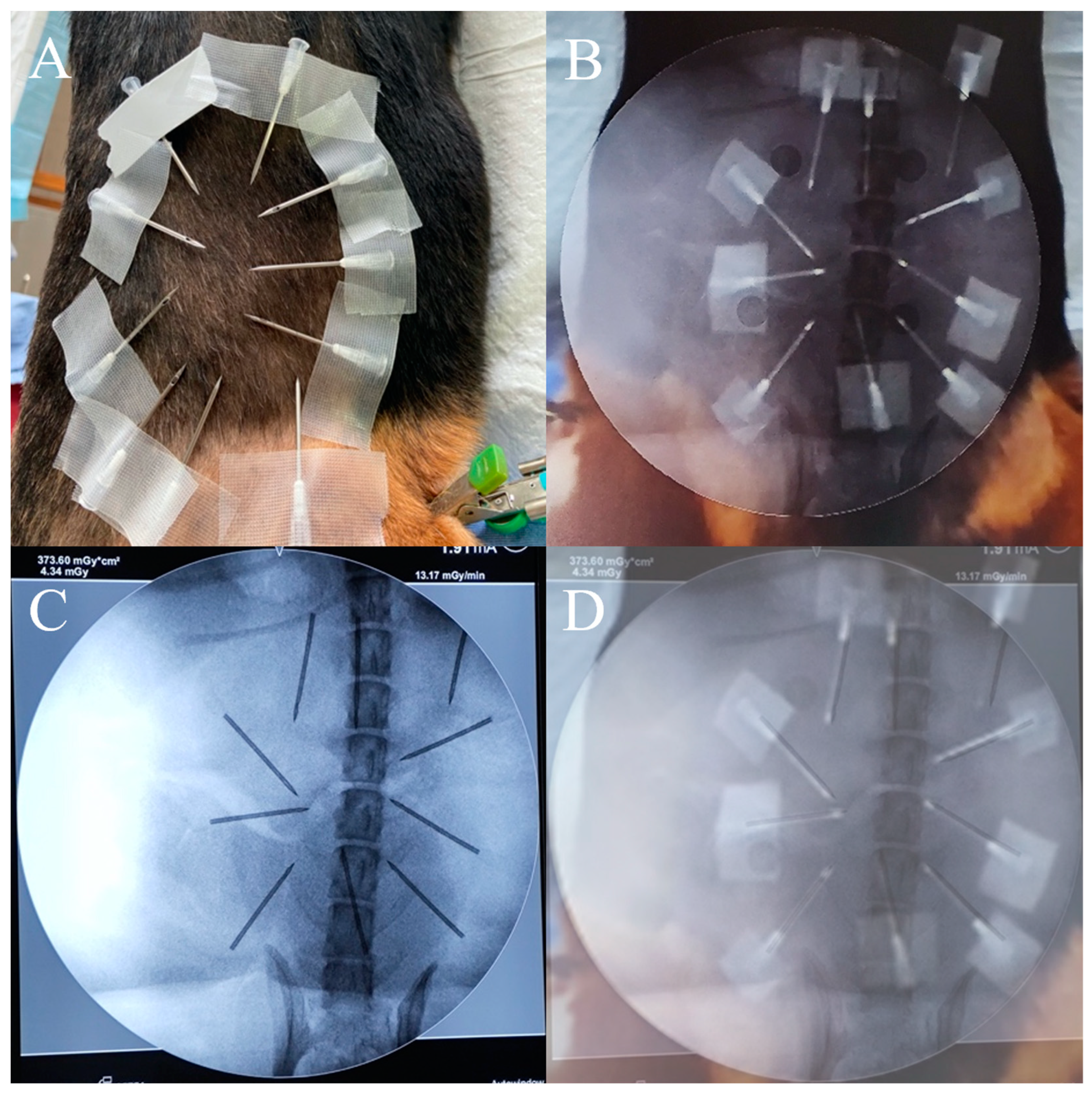 Bioengineering 10 01094 g005