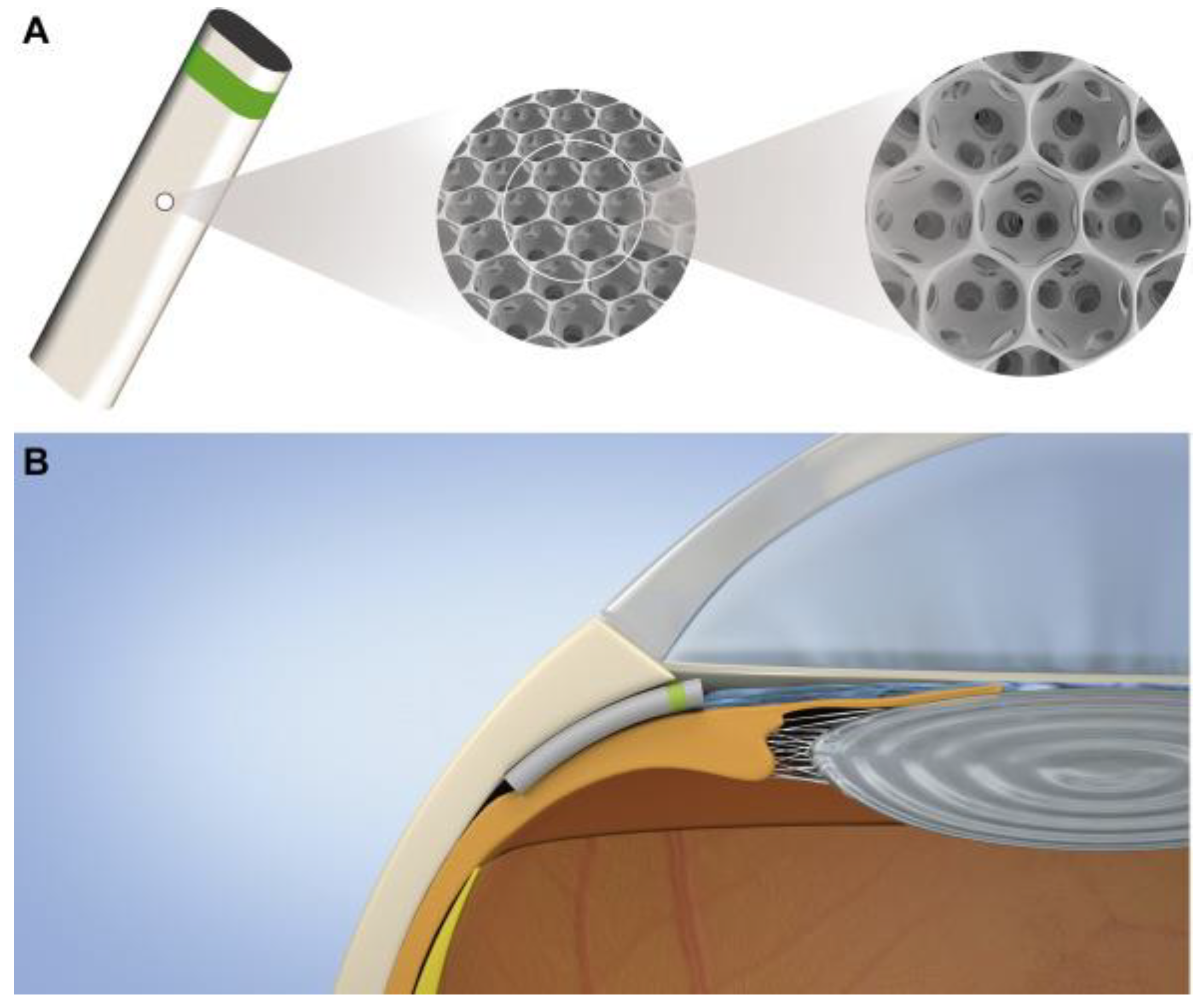 Bioengineering 10 01096 g008