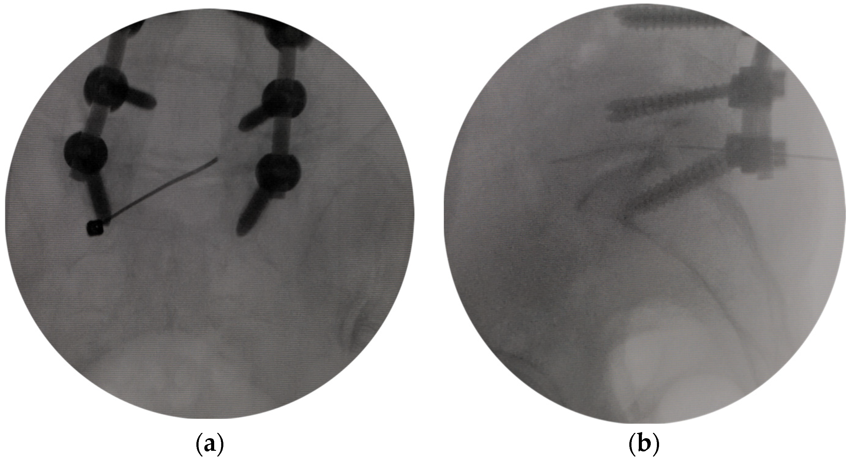 Bioengineering 10 01097 g001