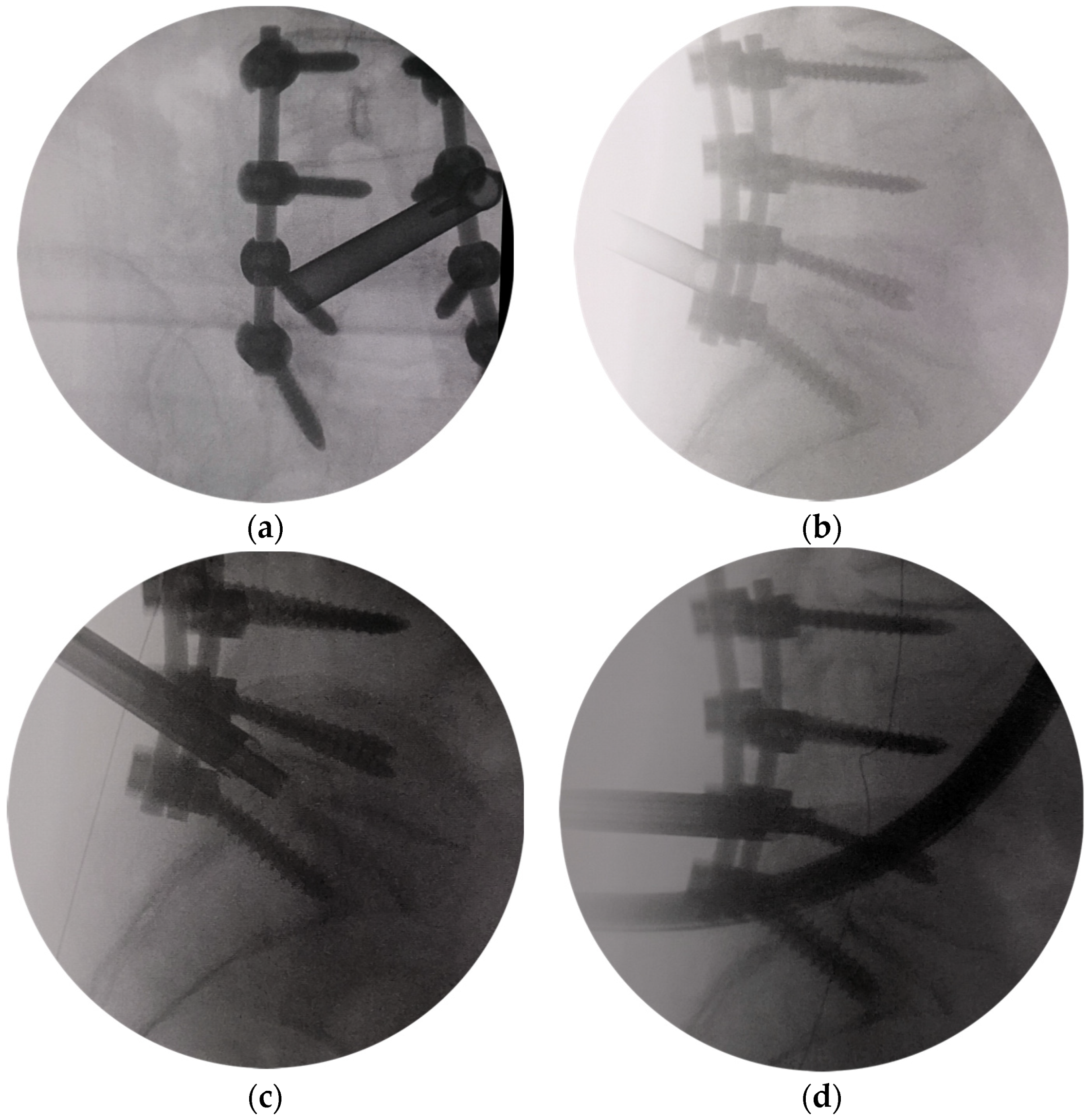 Bioengineering 10 01097 g002a