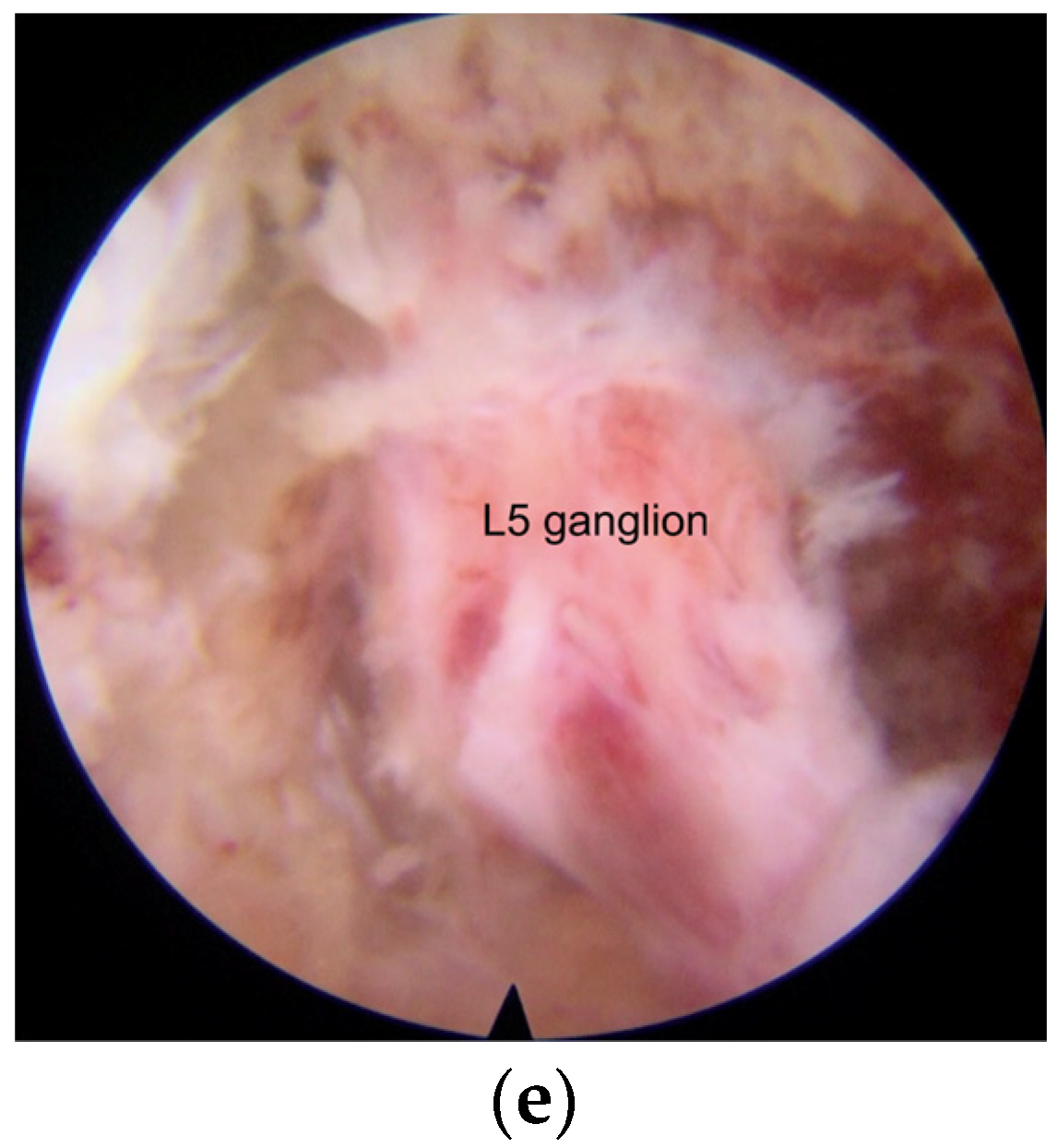 Bioengineering 10 01097 g002b