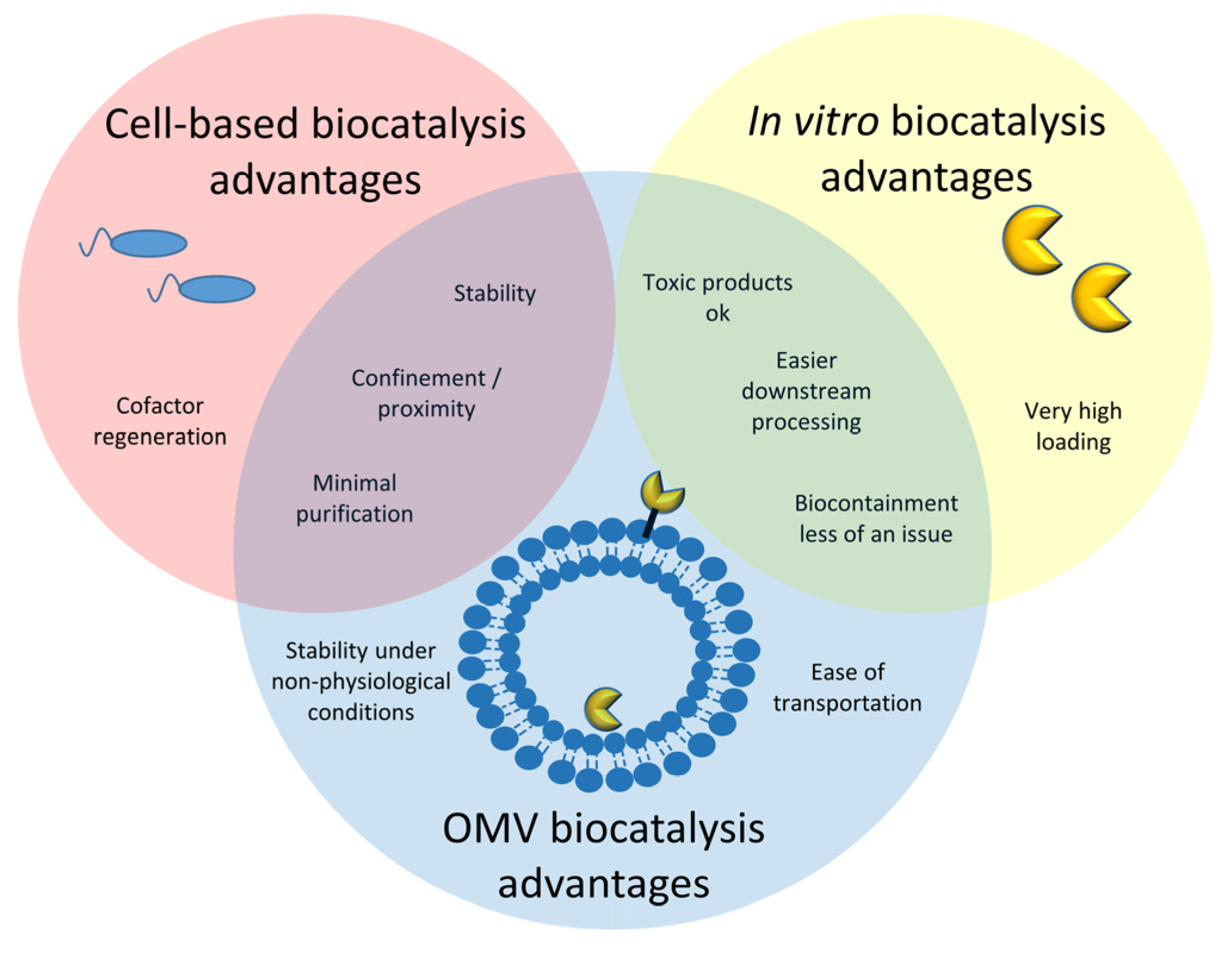 Bioengineering 10 01099 g001