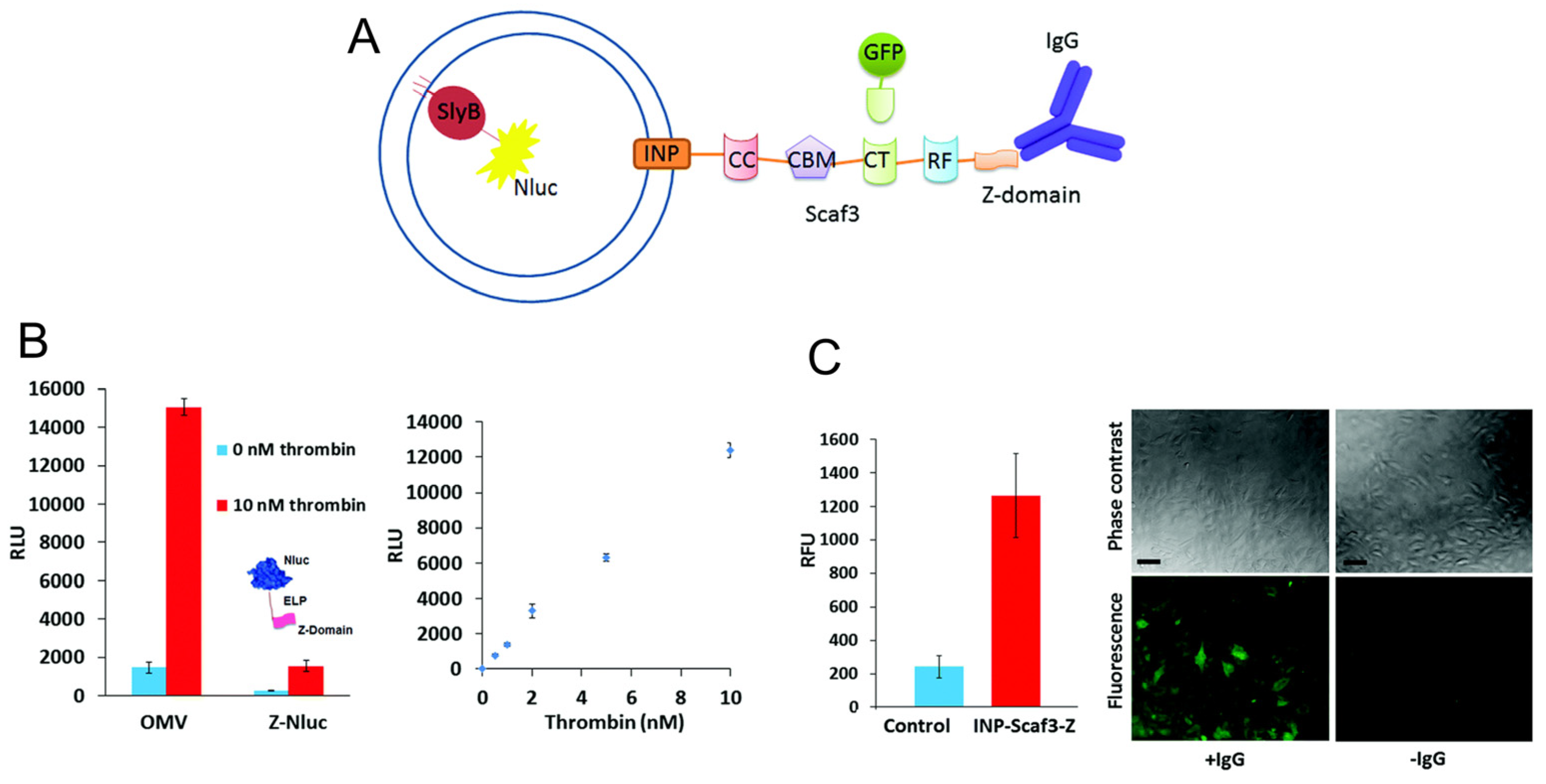 Bioengineering 10 01099 g007
