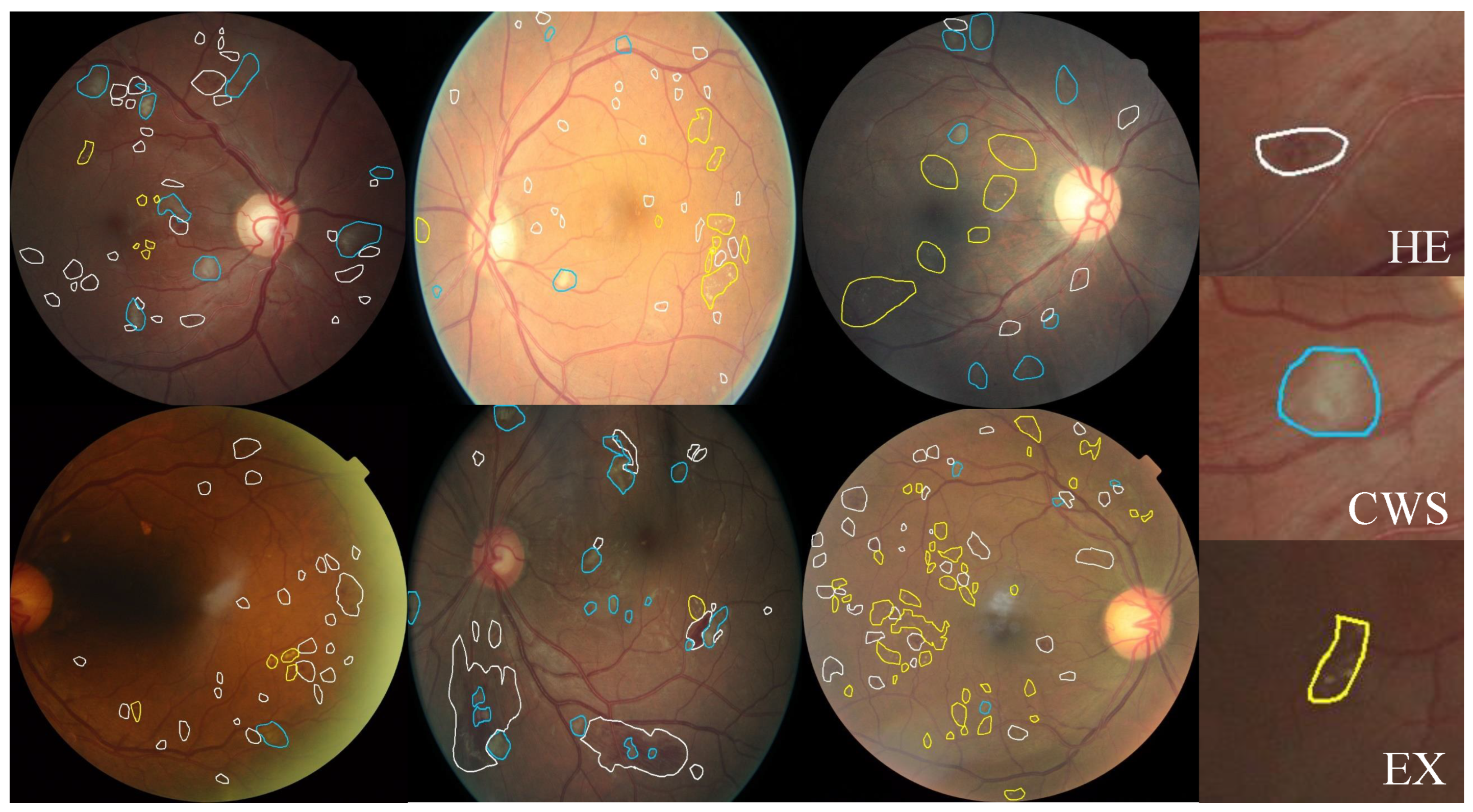 Bioengineering 10 01100 g002