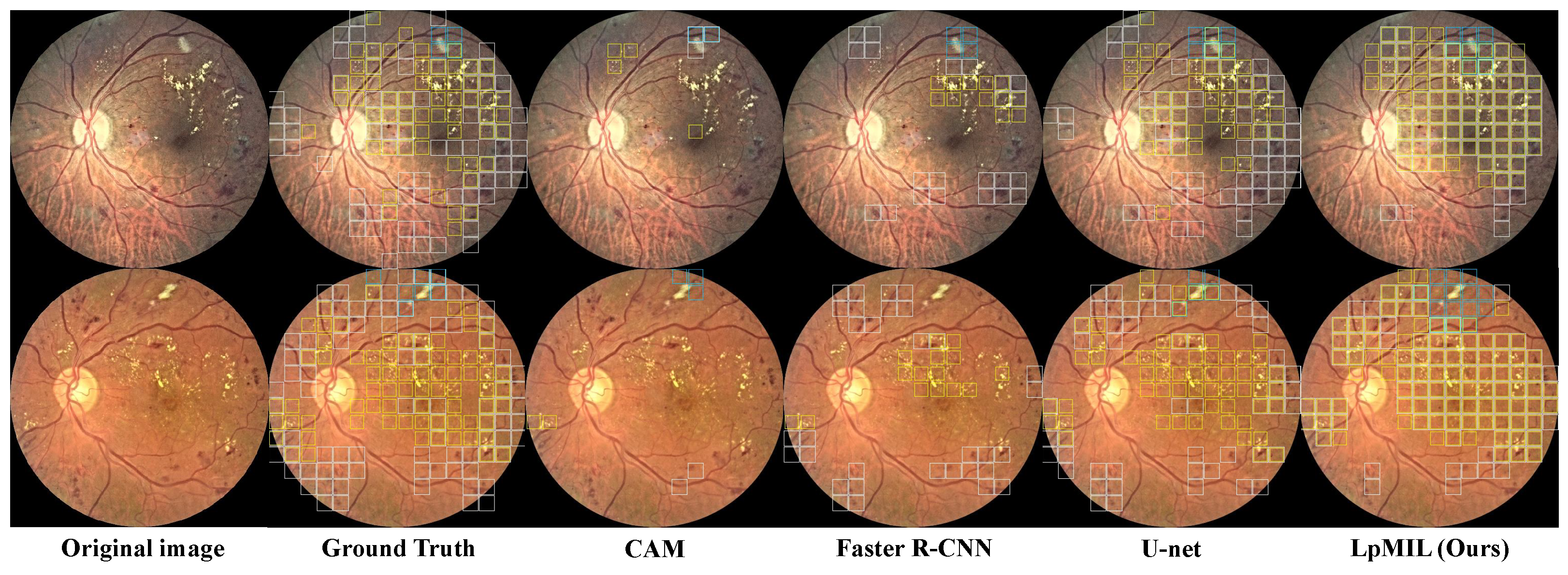 Bioengineering 10 01100 g004
