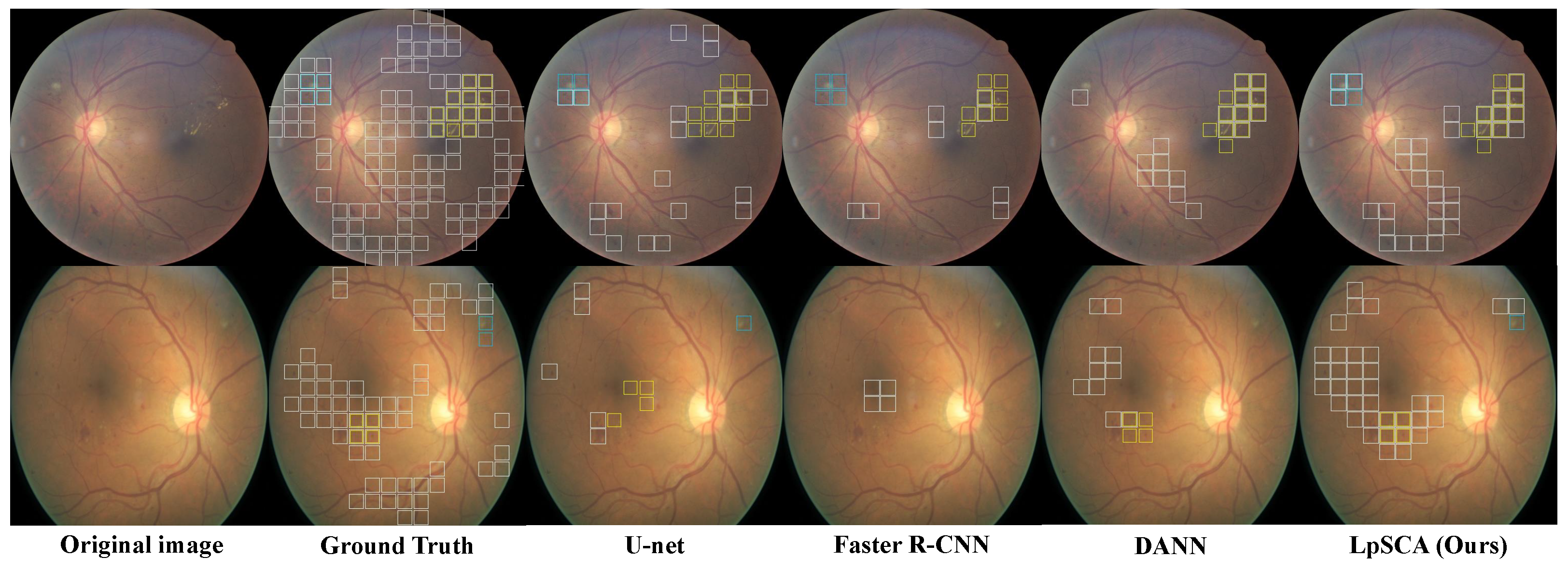 Bioengineering 10 01100 g005