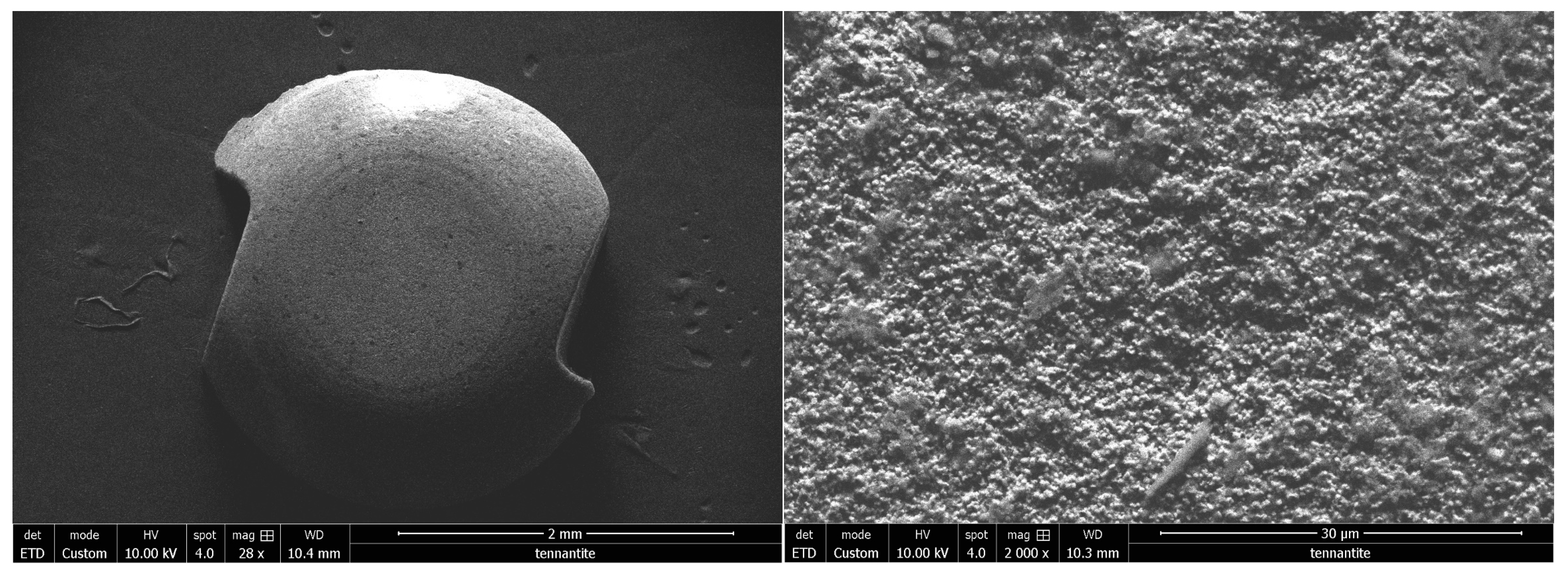 Bioengineering 10 01102 g004