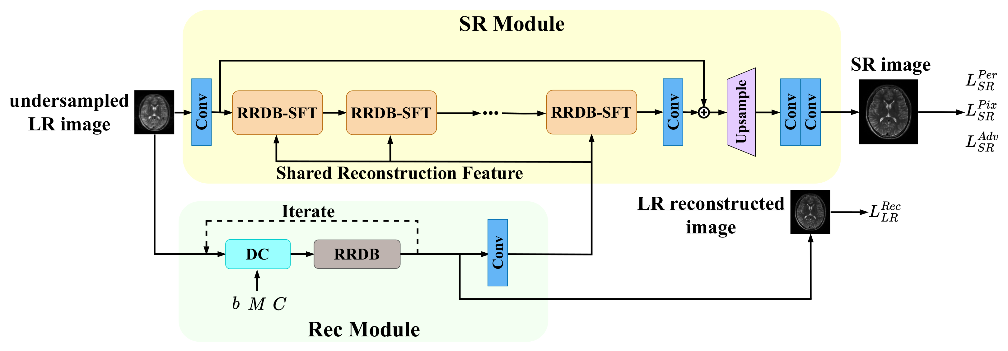 Bioengineering 10 01107 g001