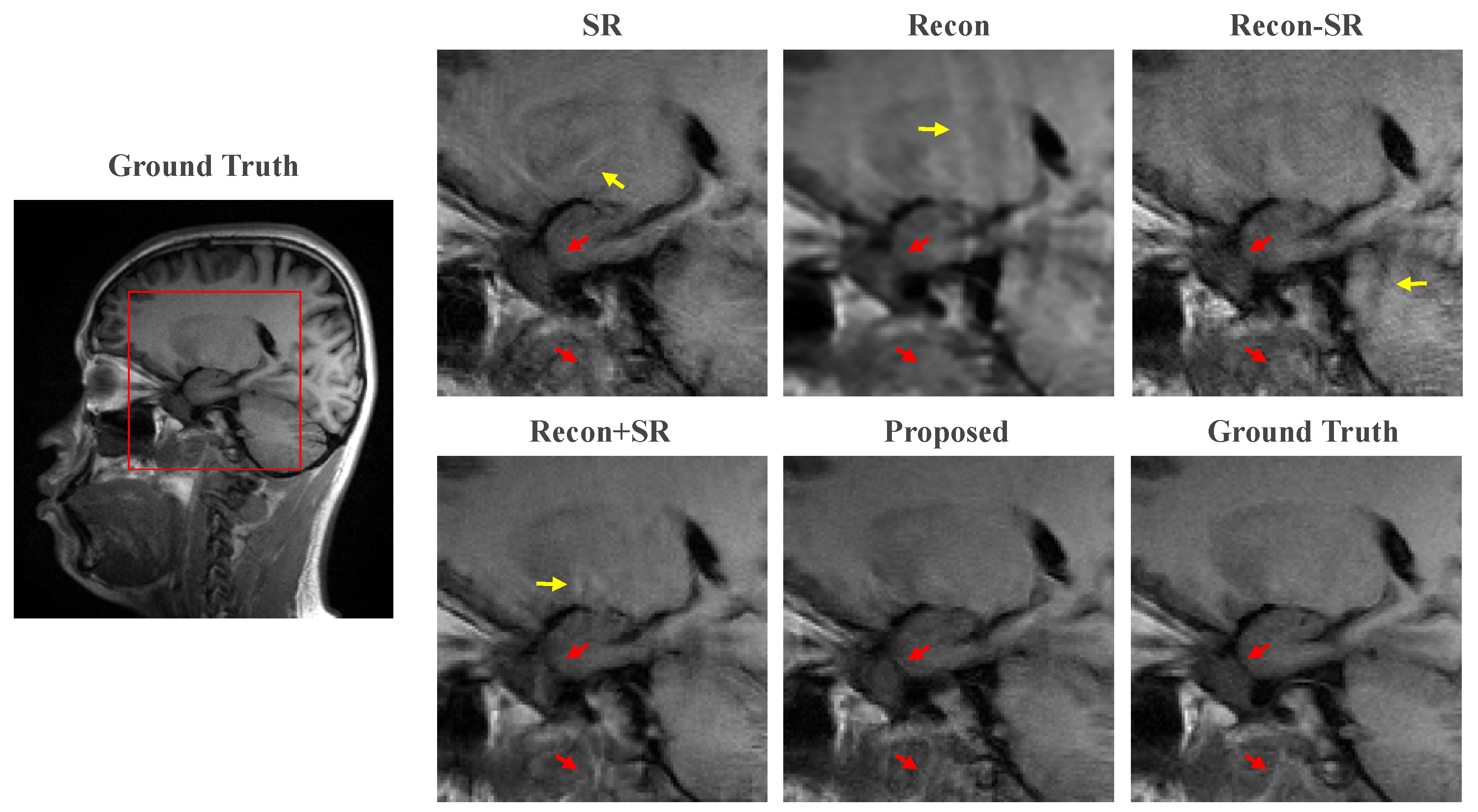 Bioengineering 10 01107 g004