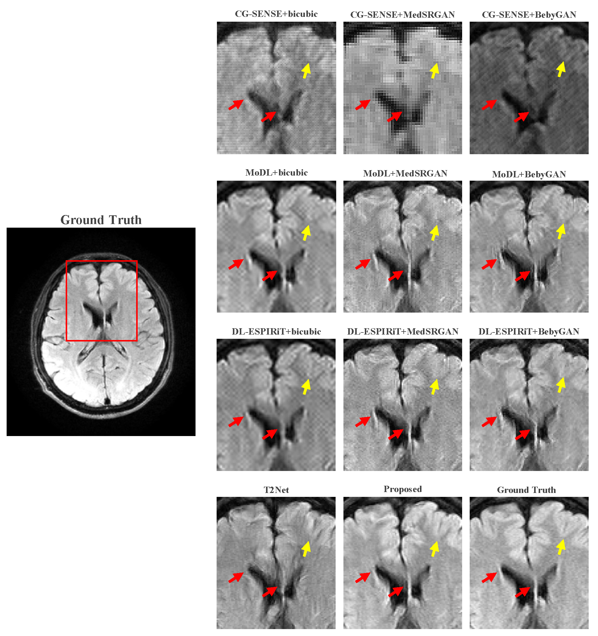 Bioengineering 10 01107 g009