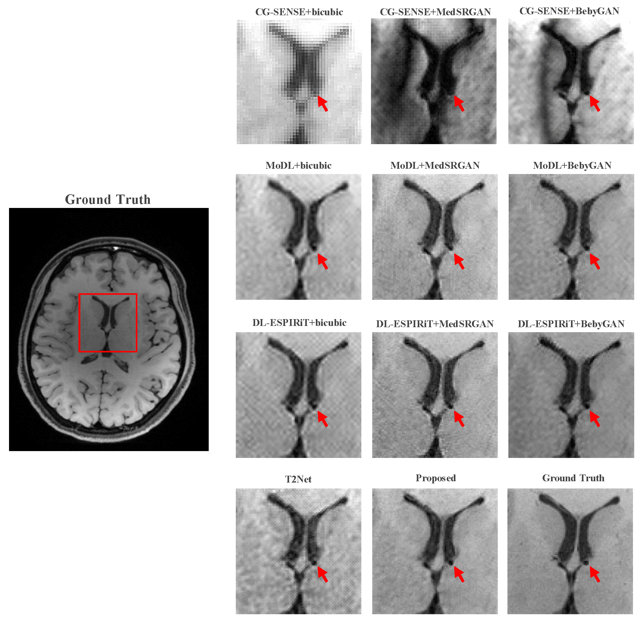 Bioengineering 10 01107 g010